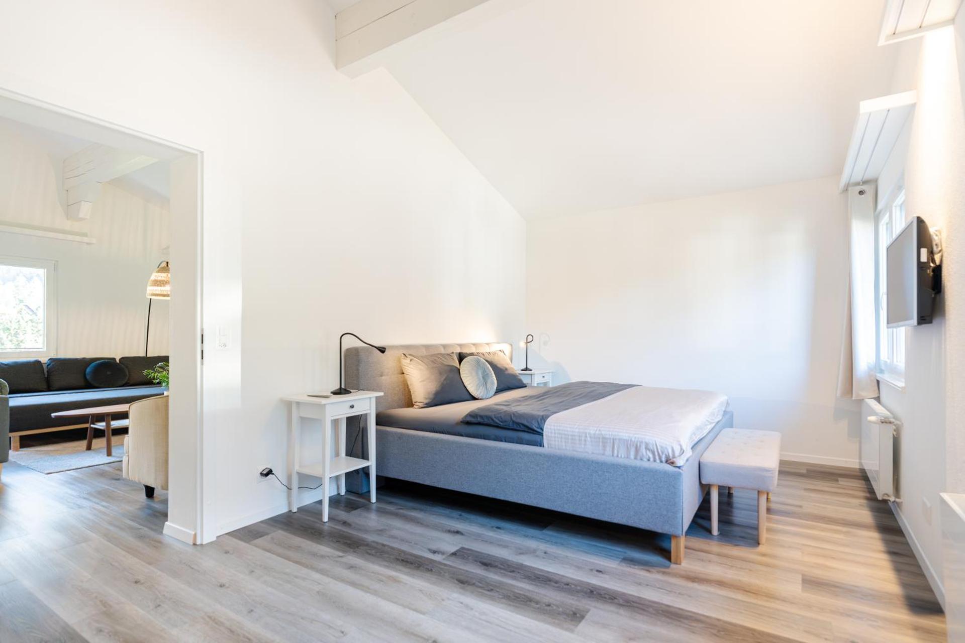 Unique Penthouse with Gallery and Mountain View