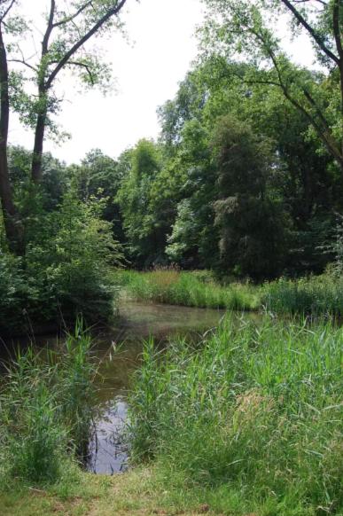 Apartement with terras in Amsterdam Noord