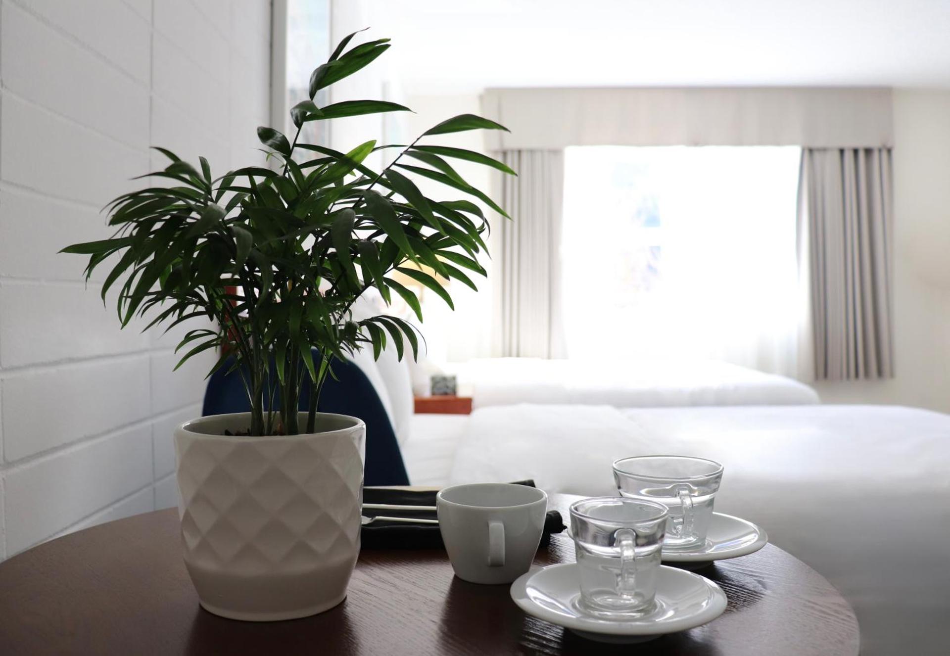 Coffee/tea facilities