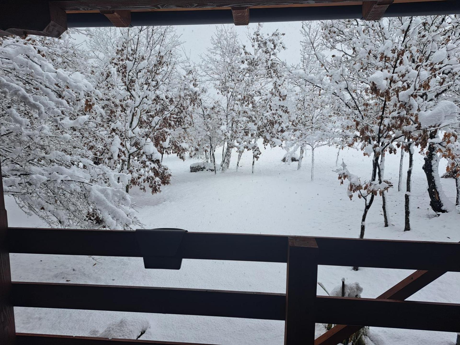 De Luxe mobilna kuća Kijani, 44m2