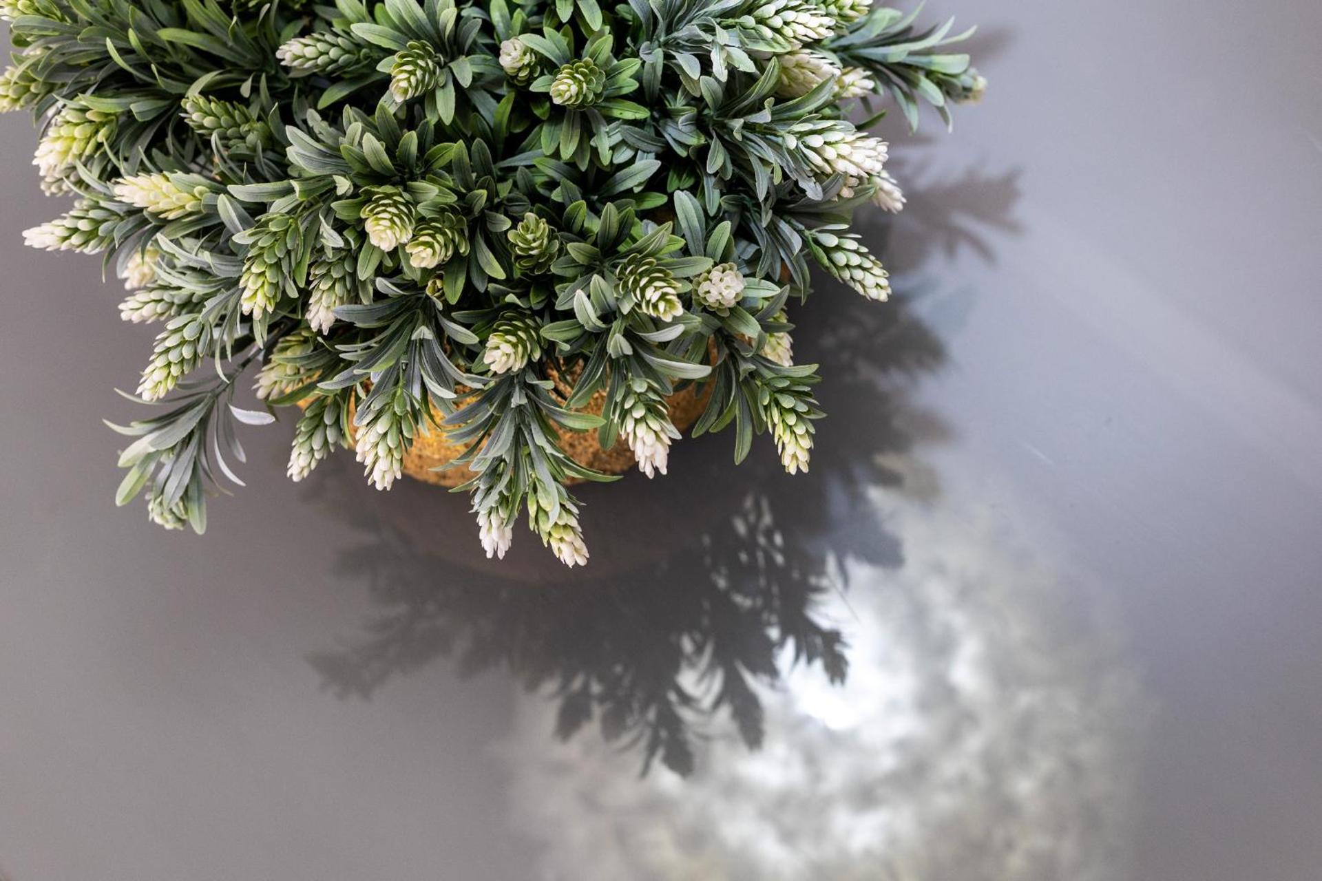 Cozy Familiar Retreat in the Centre of Granada