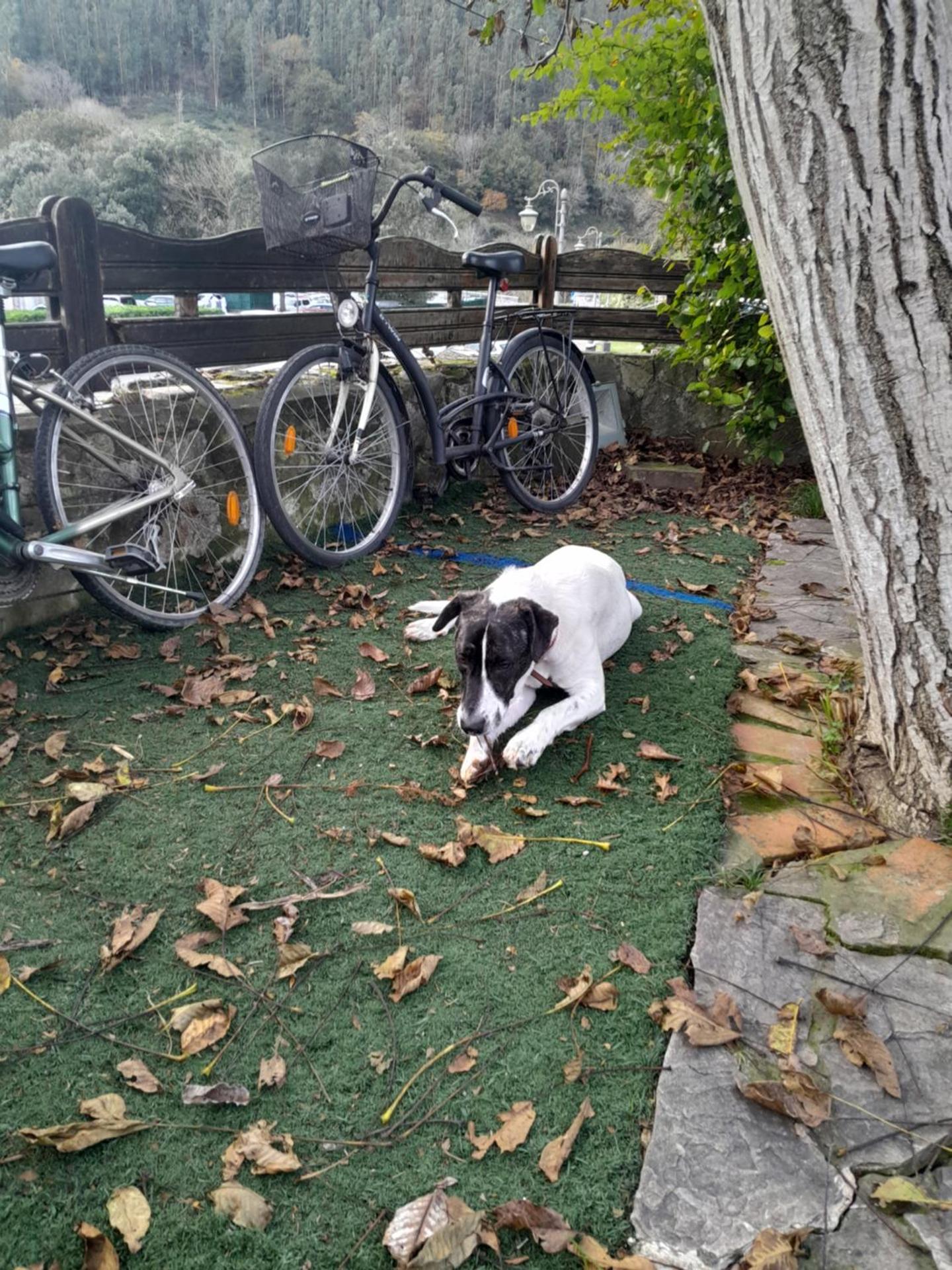 Posada Rincón del Pas