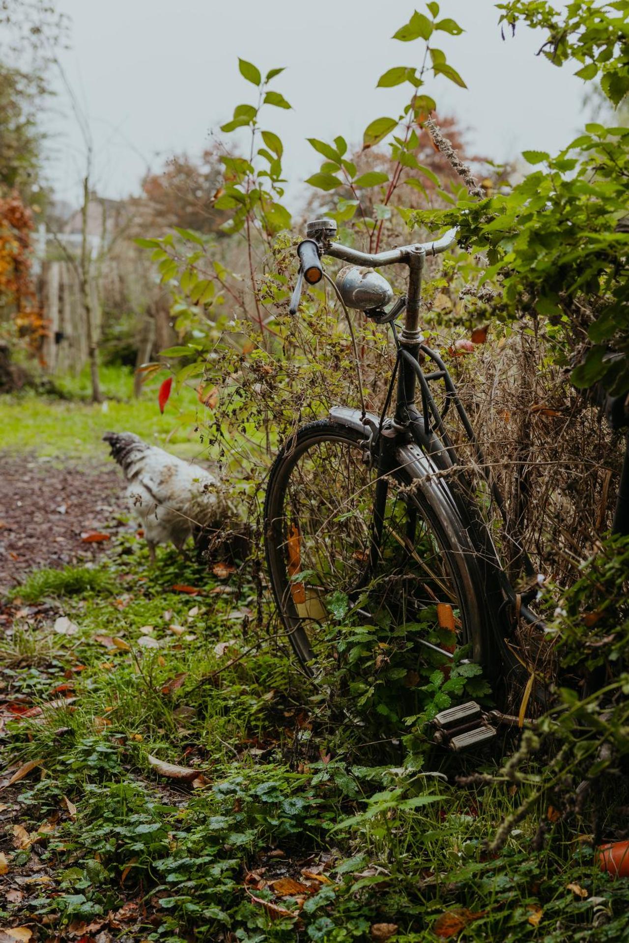 Au Pied Du Trieu, The Shelter