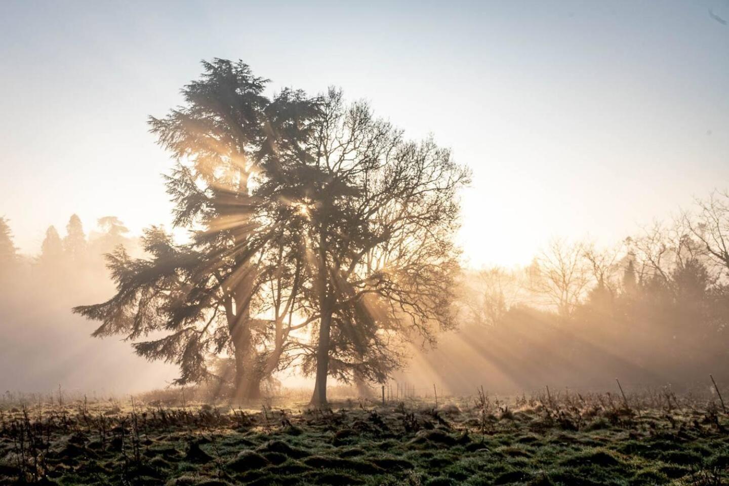 Cedar Cabin Overlooking Bedgebury Forest