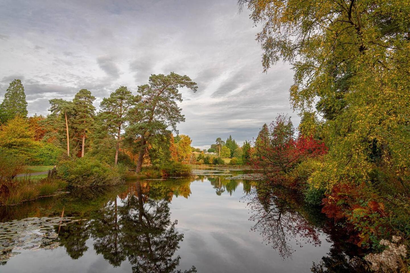 Cedar Cabin Overlooking Bedgebury Forest