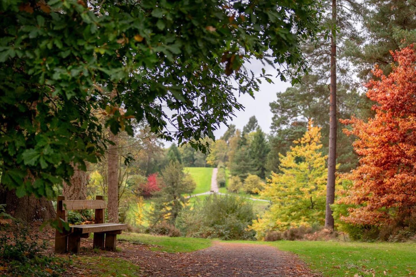 Cedar Cabin Overlooking Bedgebury Forest
