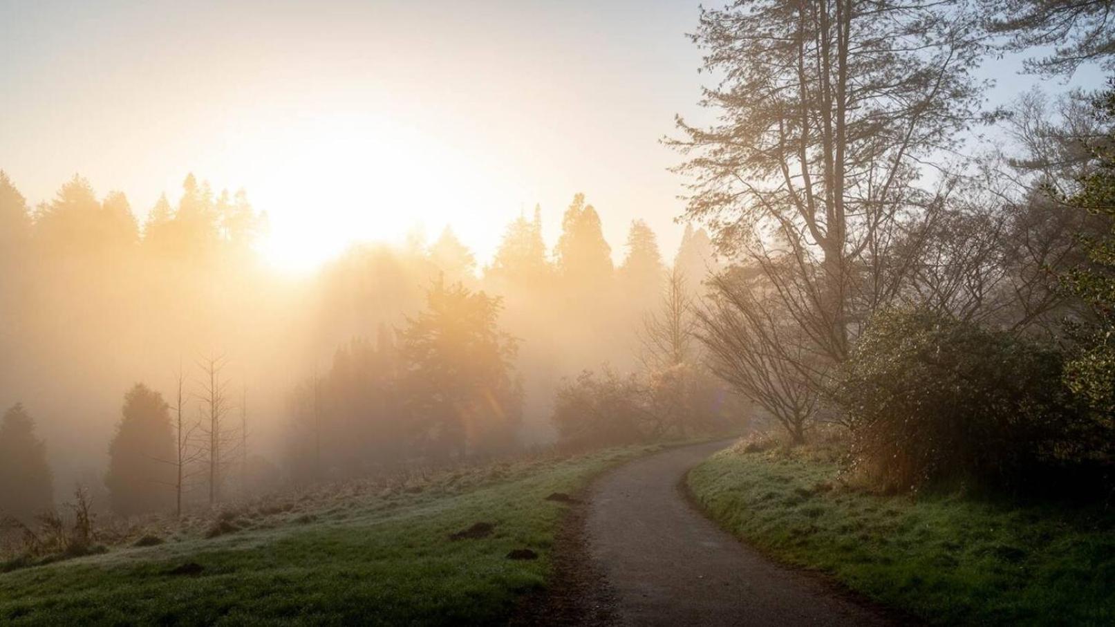 Cedar Cabin Overlooking Bedgebury Forest