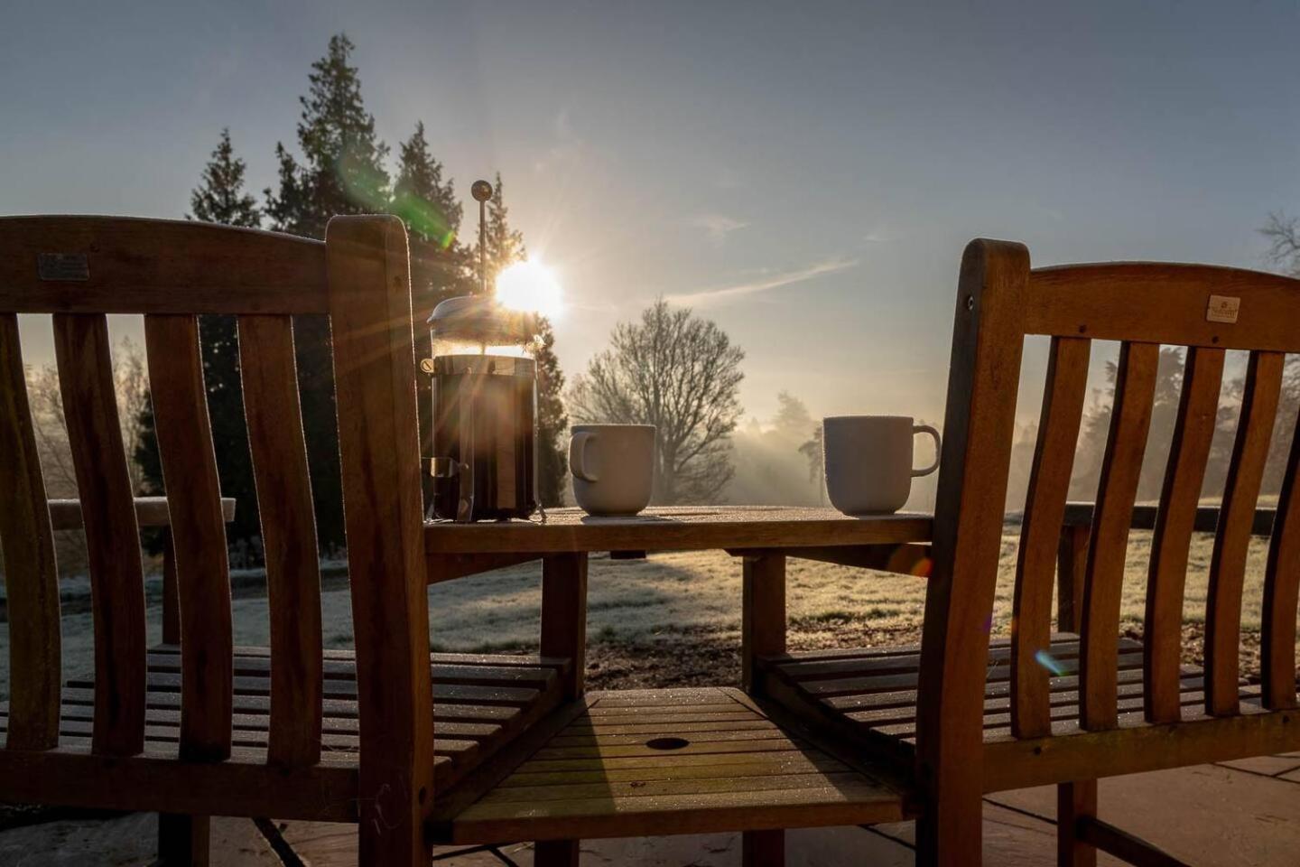 Pine Cabin Overlooking Bedgebury Forest