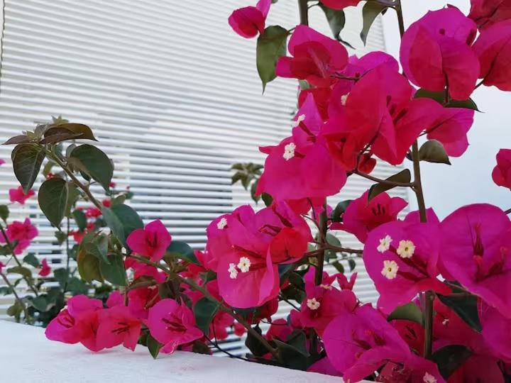 Exclusiva casa con encanto en Agua Amarga