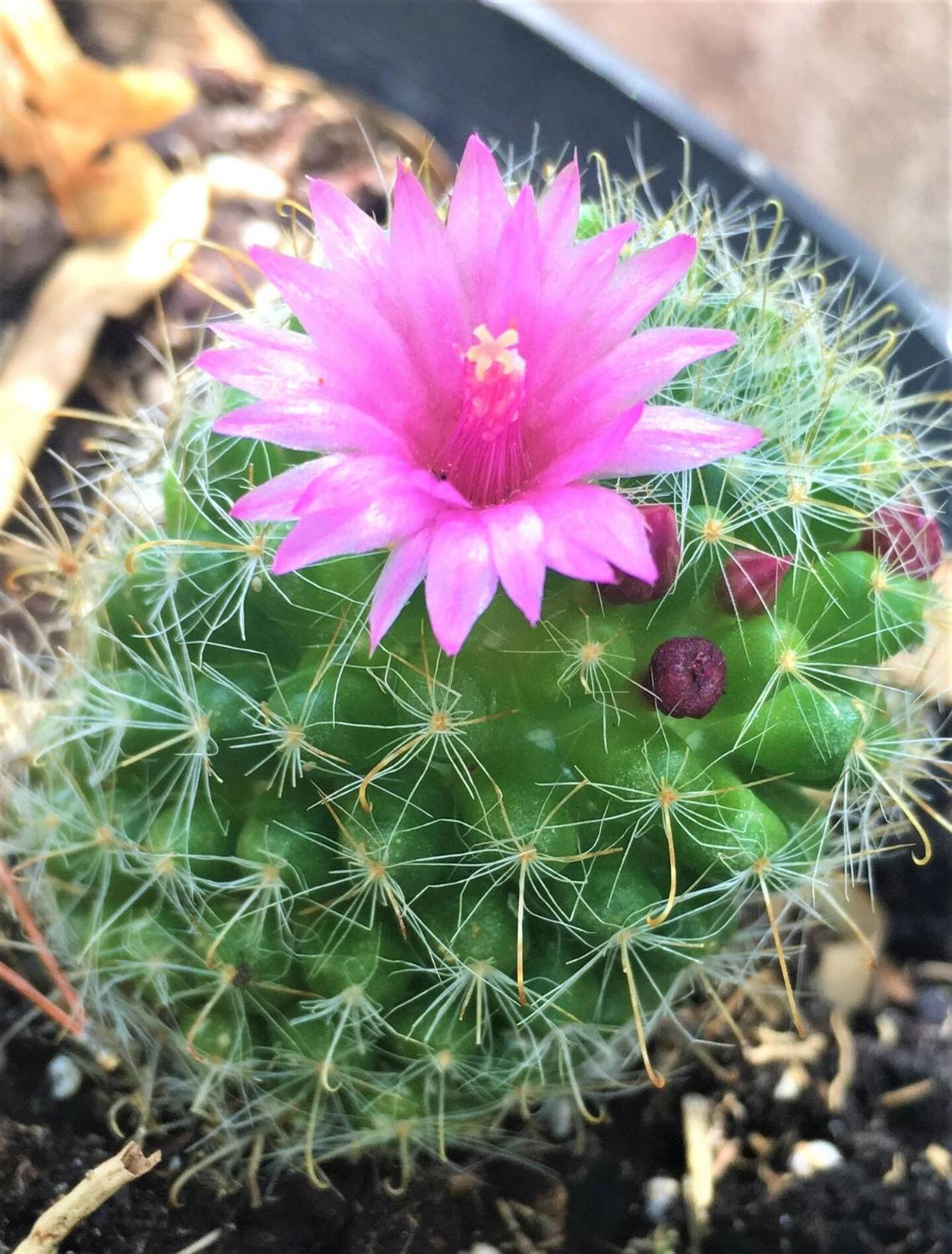 Exclusiva casa con encanto en Agua Amarga