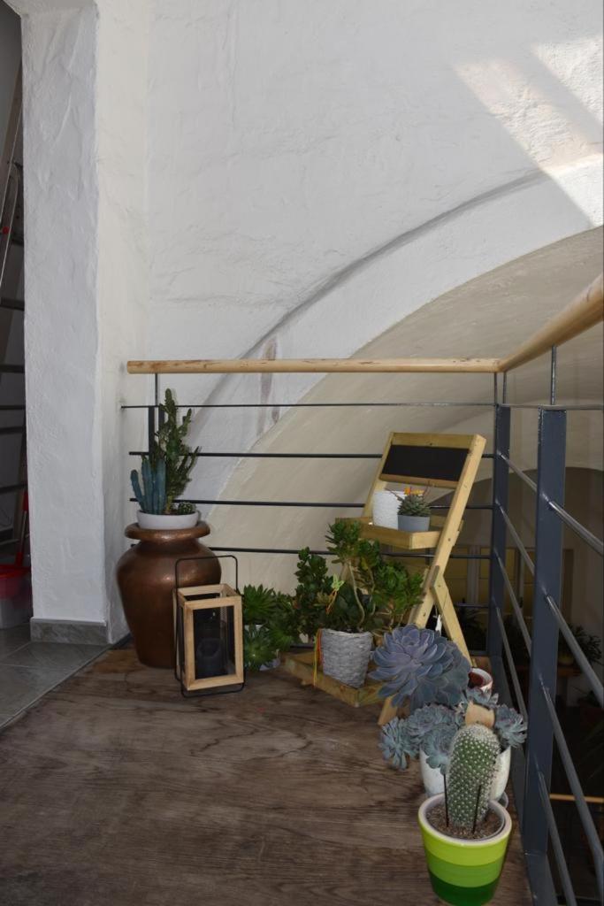 Appartamento Aquila D'oro