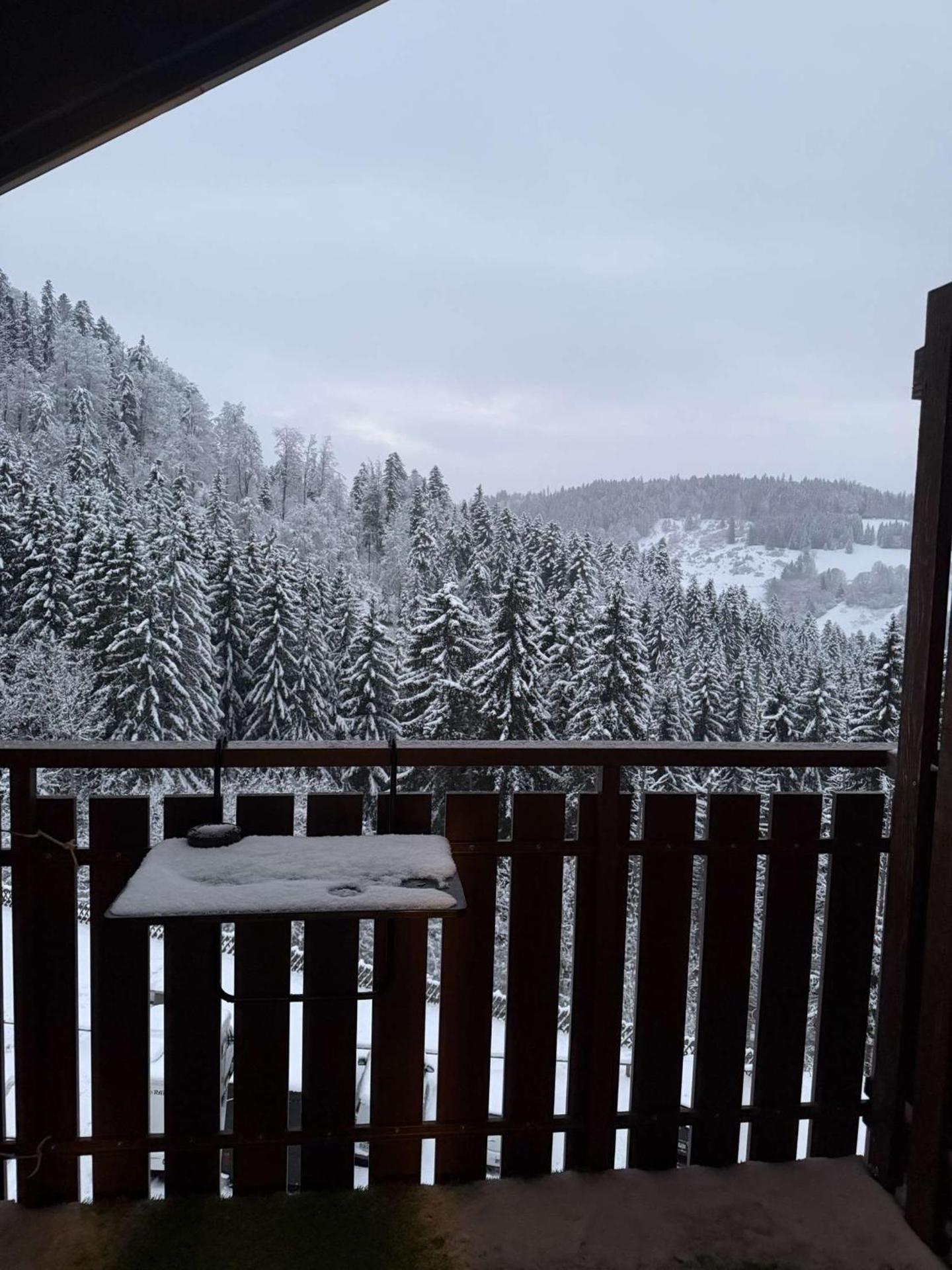 Votre havre de paix avec vue sur la forêt