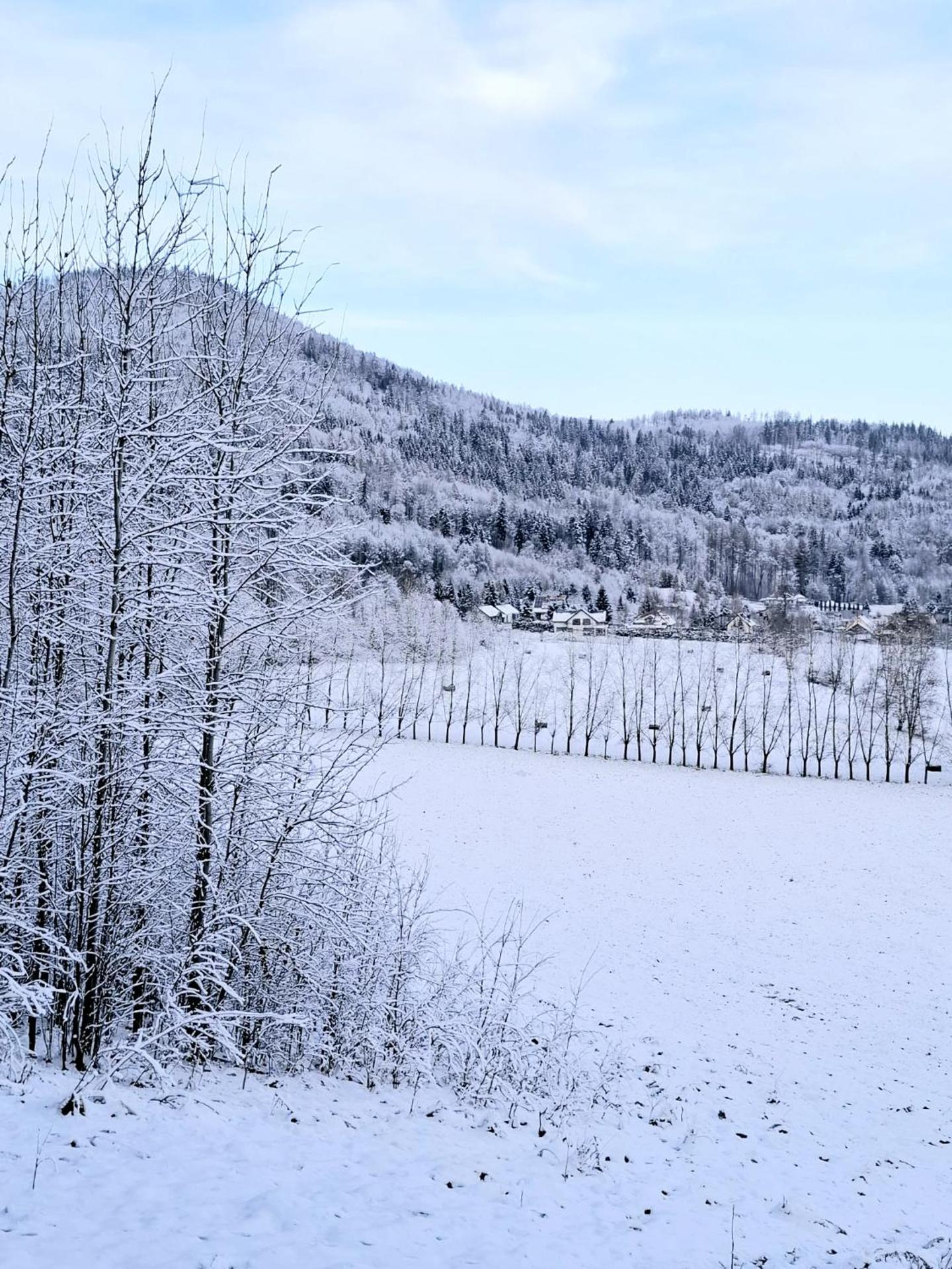 Apartamenty Chilldziówka w Miłkowie z sauną i z grillem Karpacz