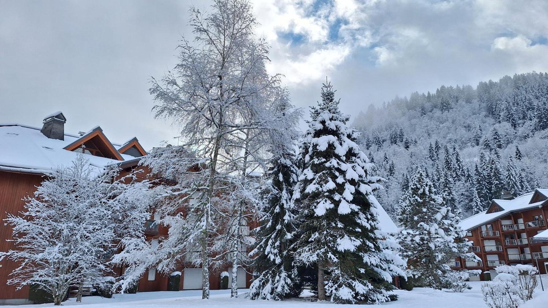Studio au pied des remontées/wifi/smart TV/parking