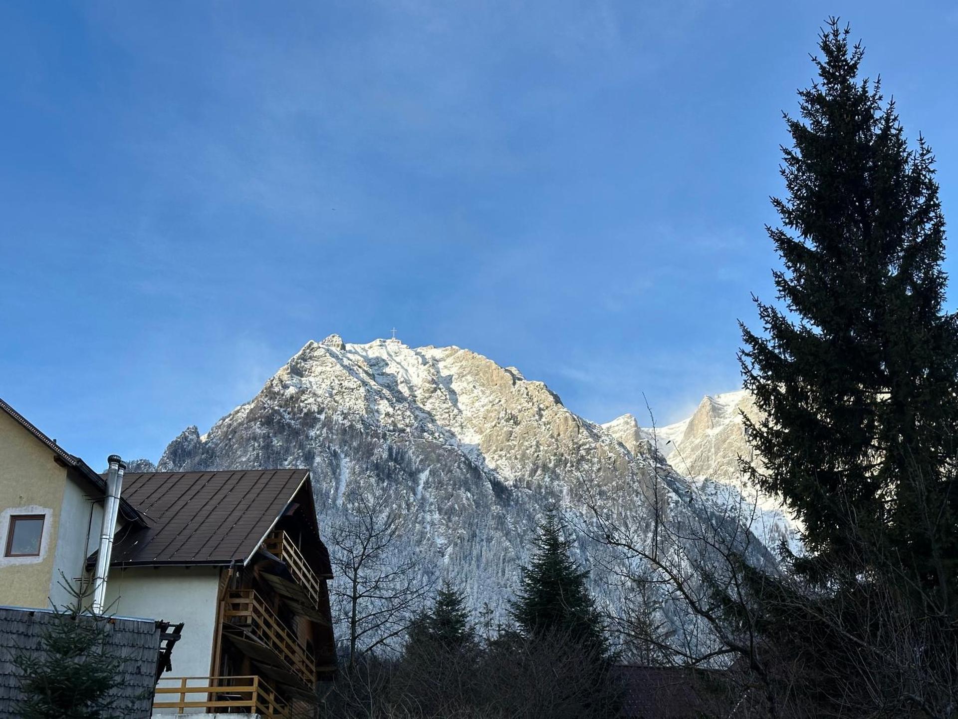 The View Apartment 3 Bușteni