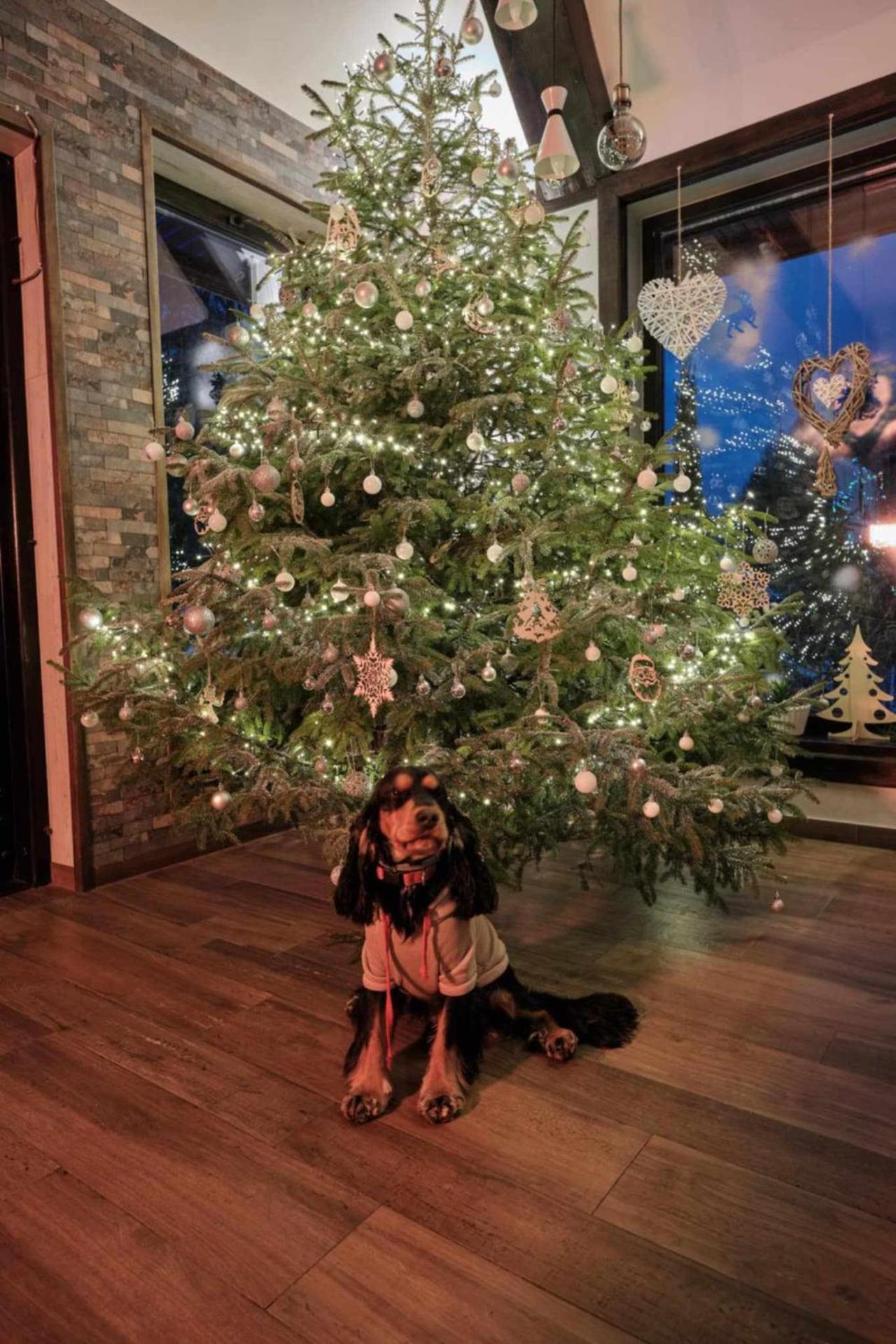 Villa Biesisko Przysłup Cisna