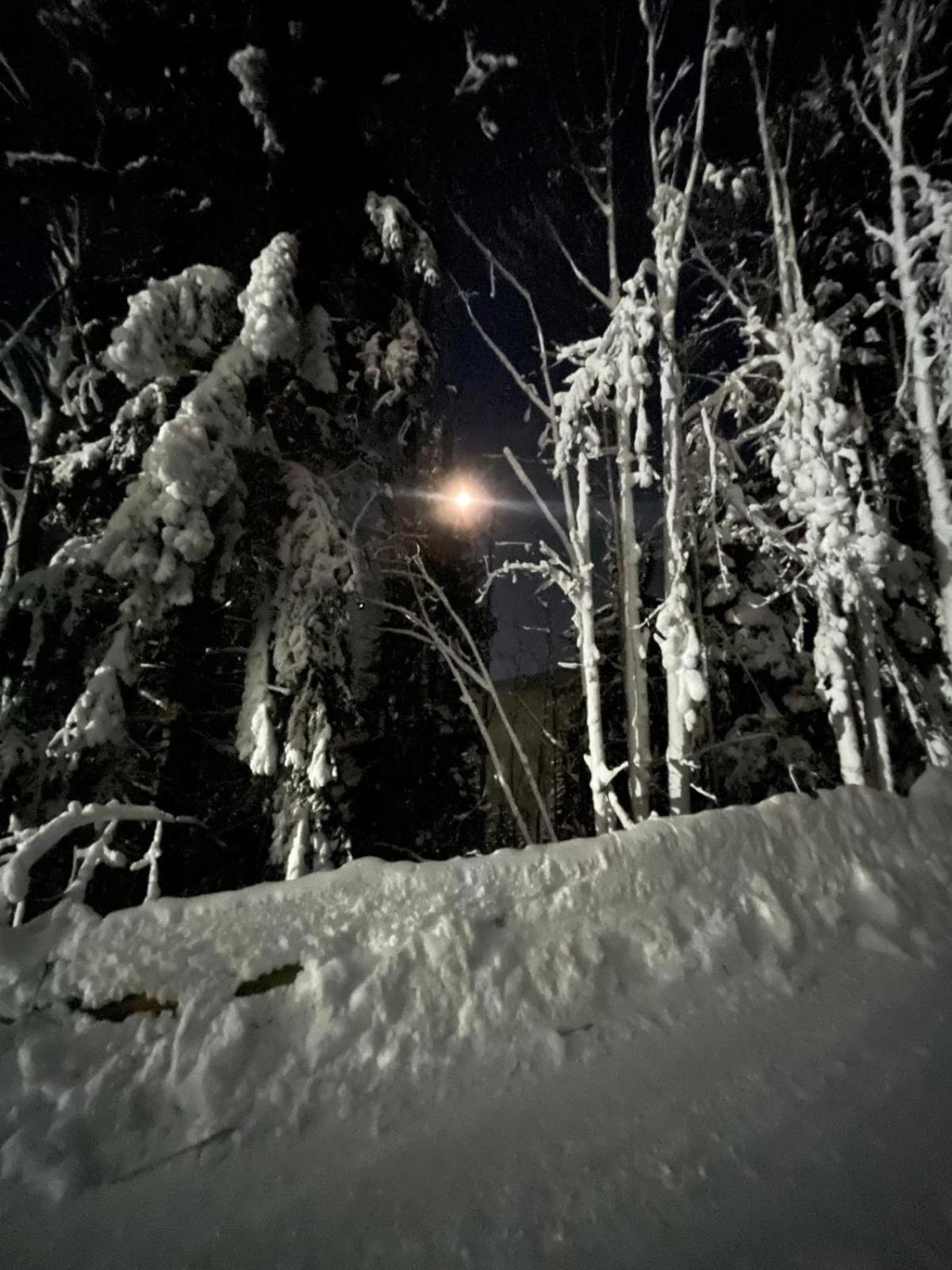 Apartment Mohr am Semmering