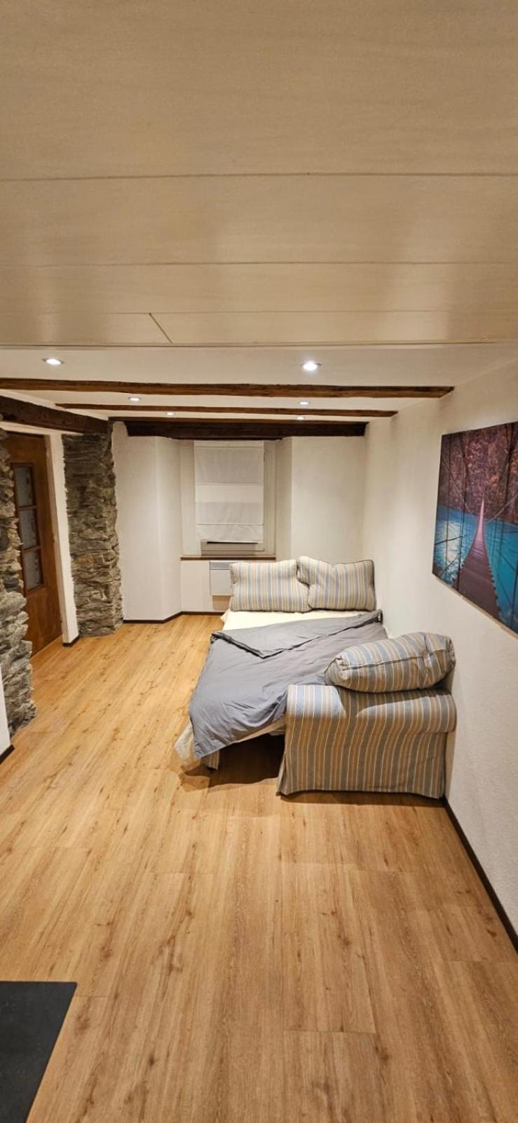 Deluxe One-Bedroom Apartment