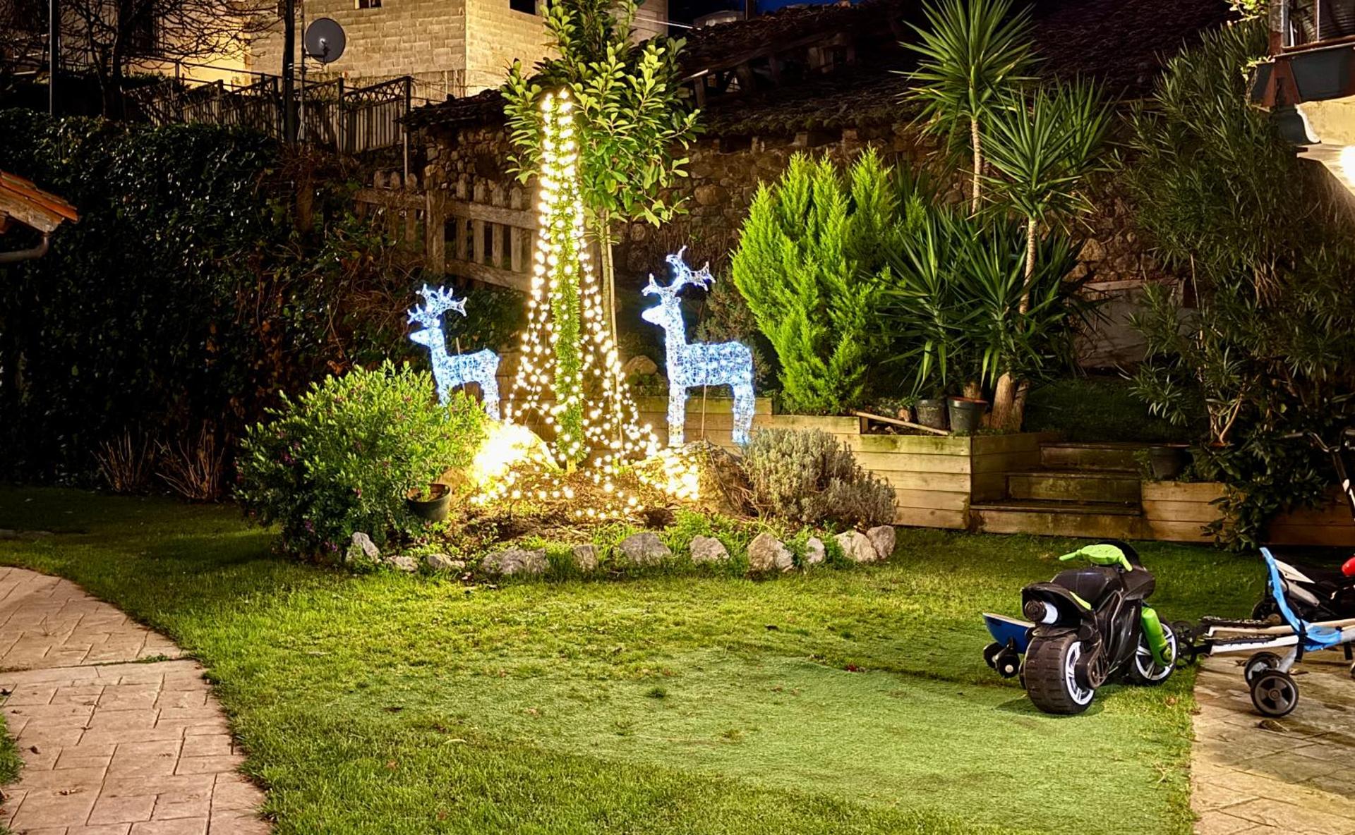 Apartamentos Alquitara