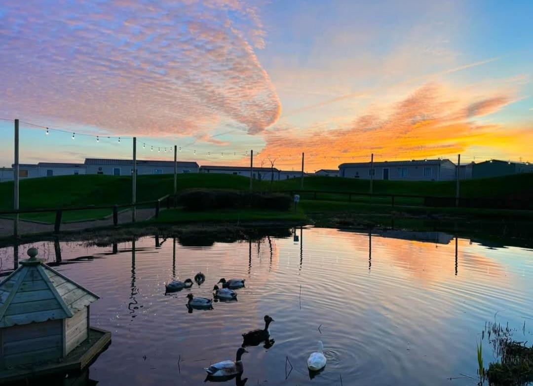 Riverscape Northumberland