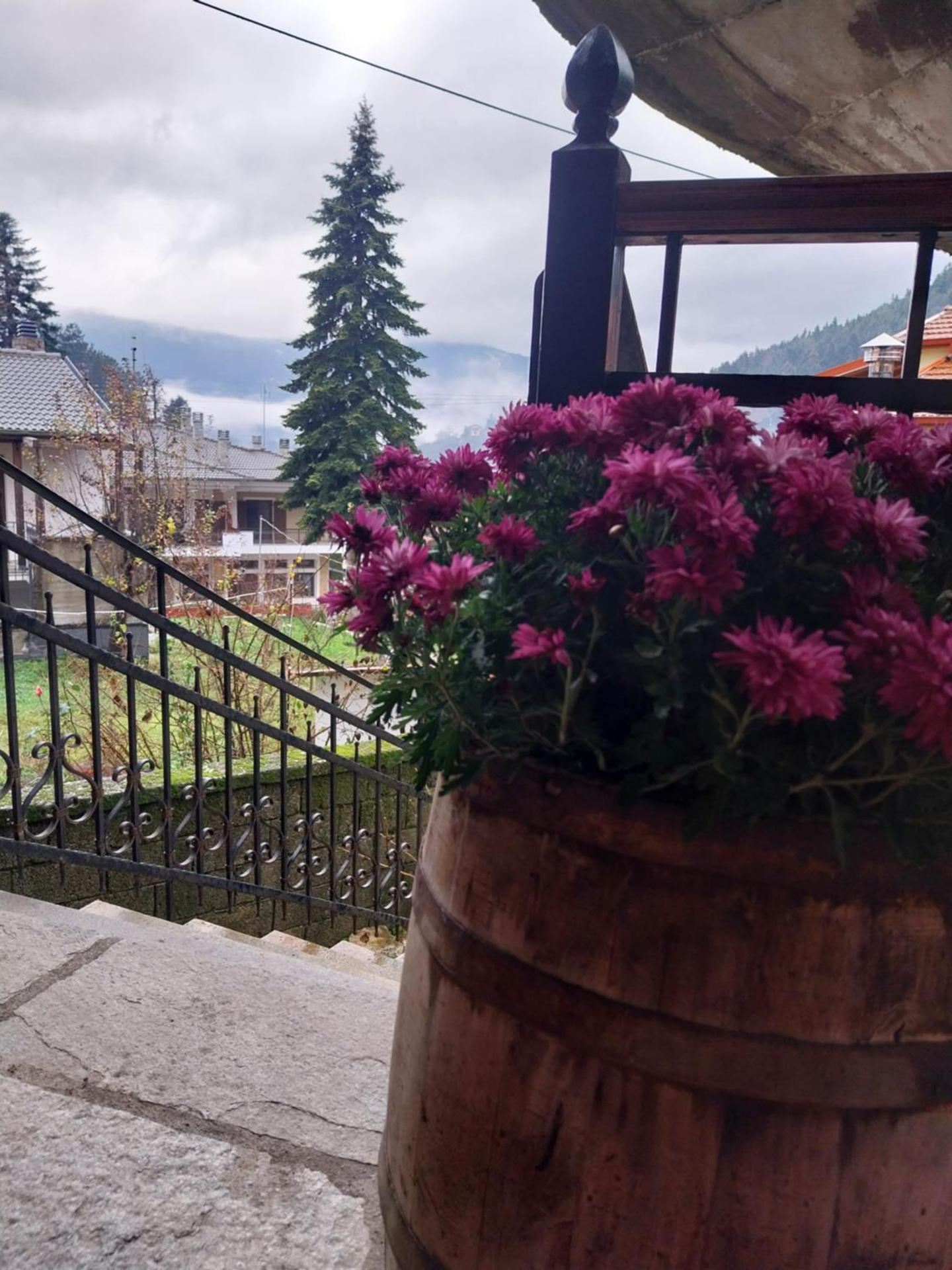 ΛΑΓΟΥΜΙ suite Α1