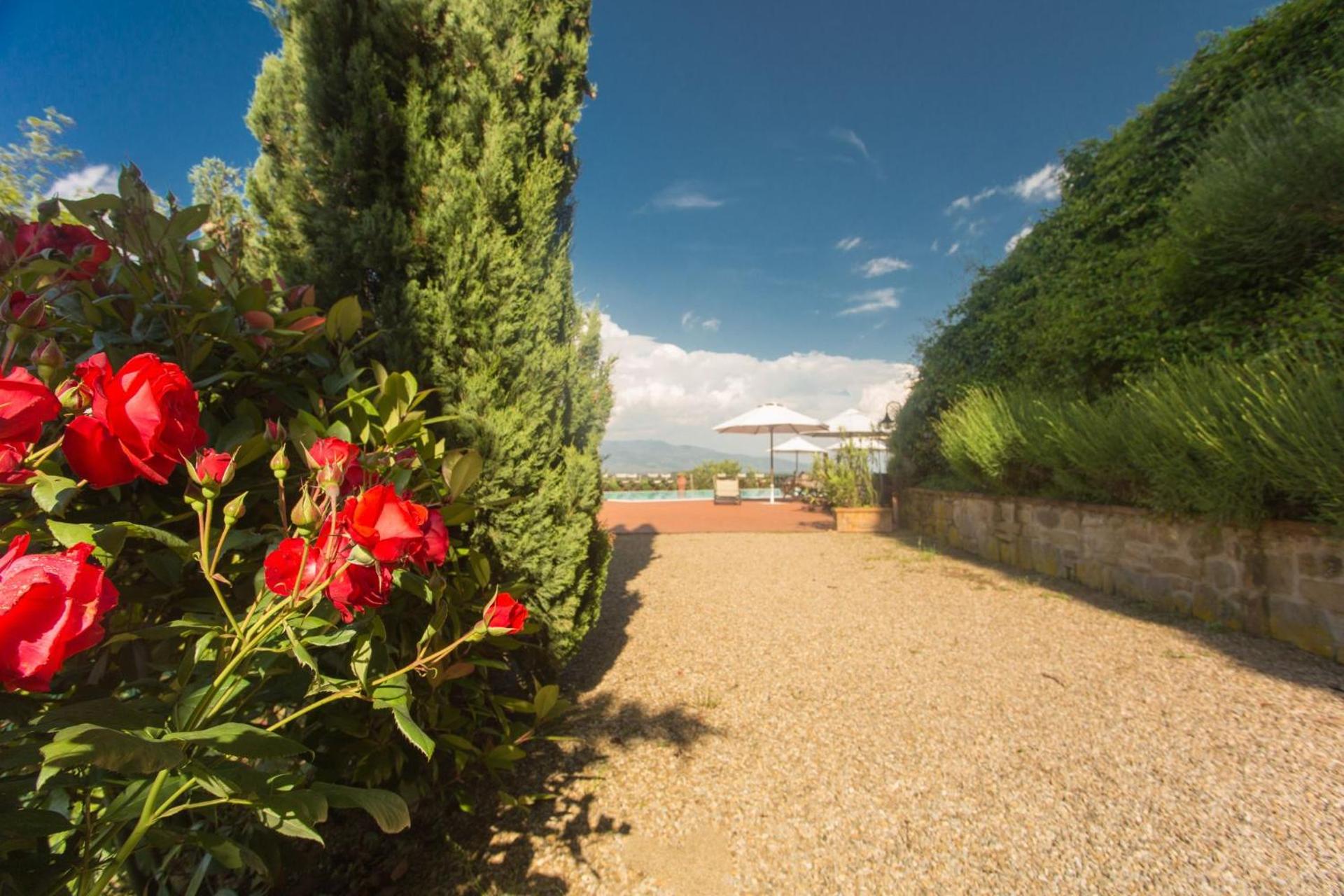 Old Tuscanys hills - Beautiful house close to Florence