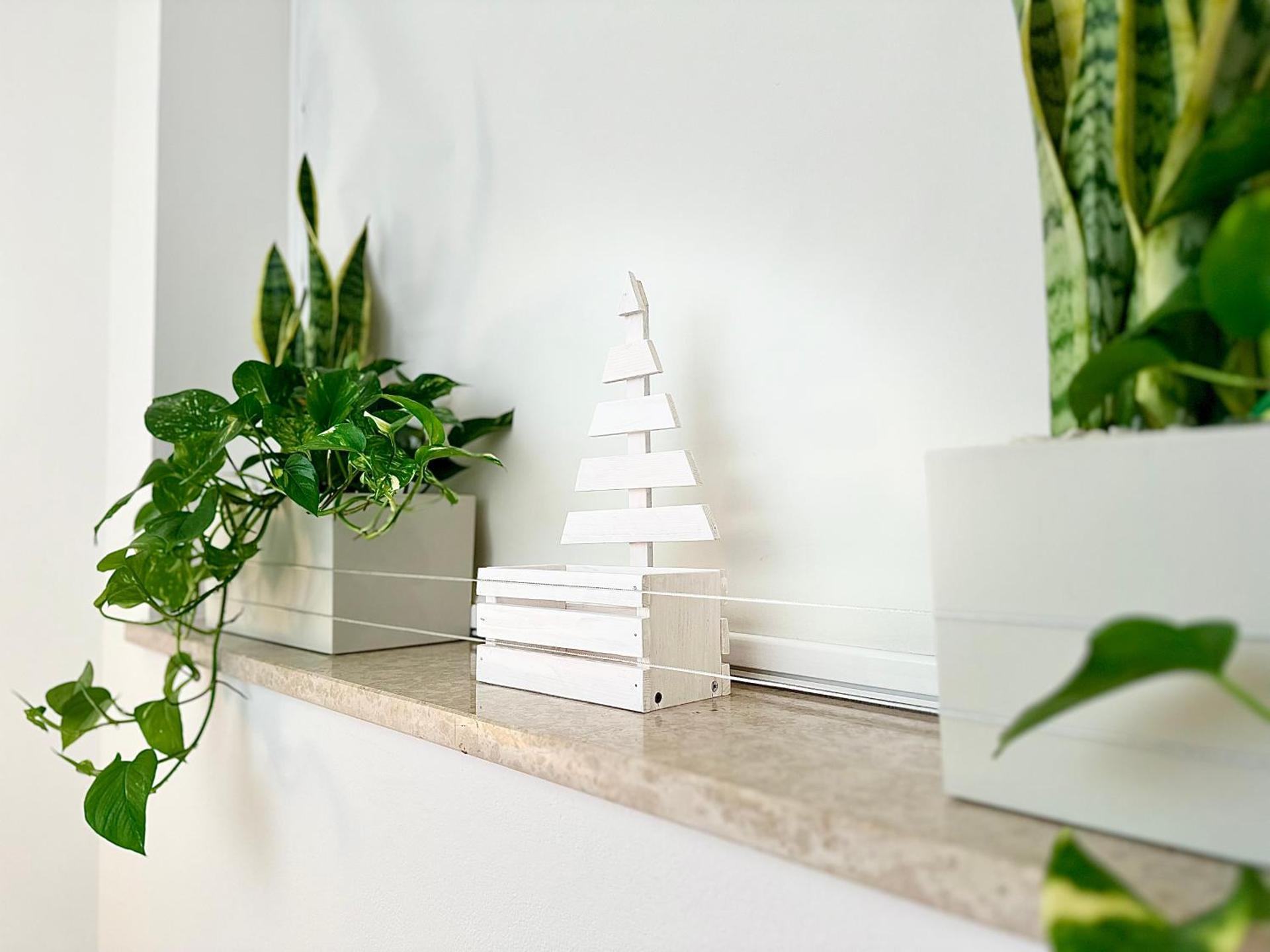 Domus Sofia Historic Center Rimini Apartment