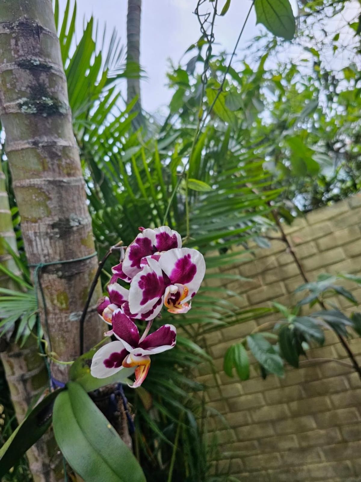 Sunshine Residencial