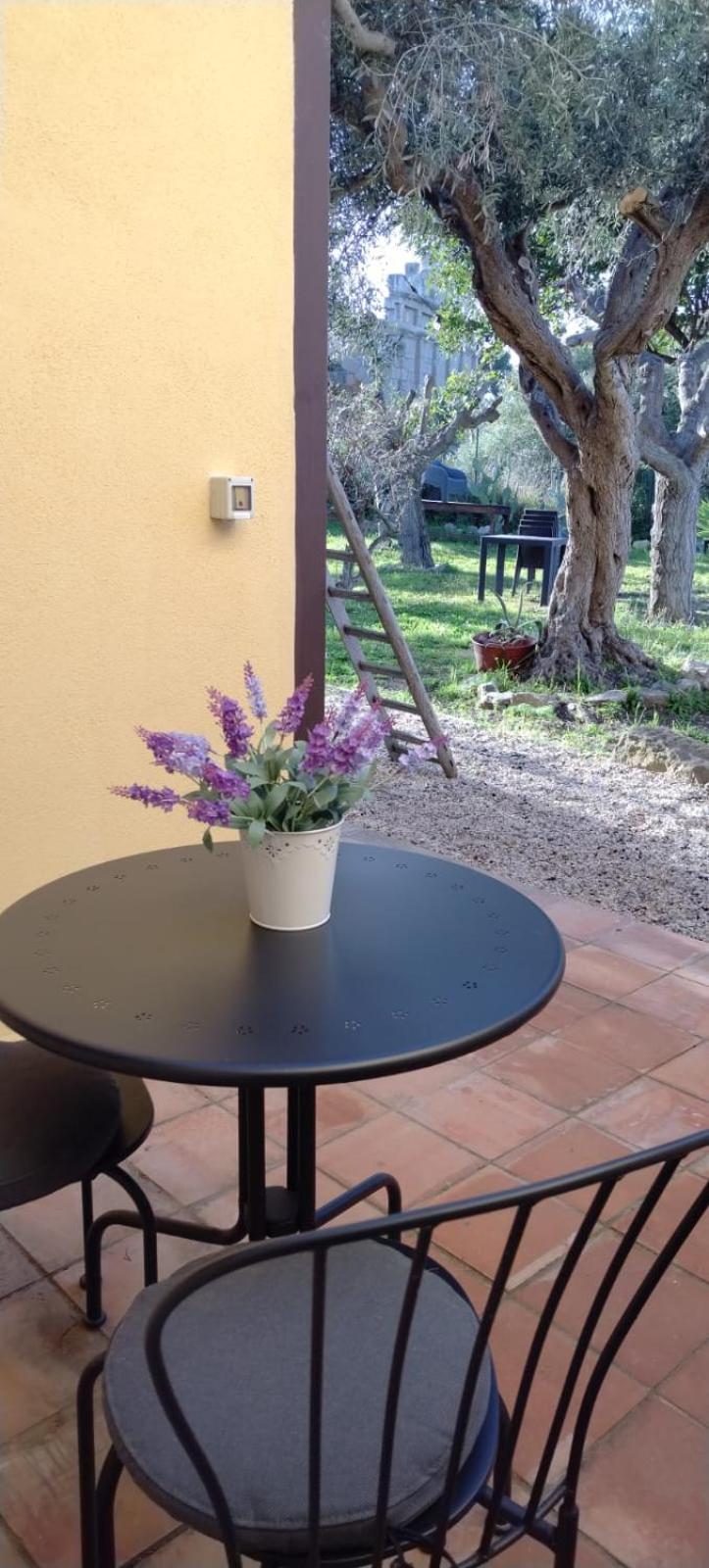 Bouganville in Villa Greco