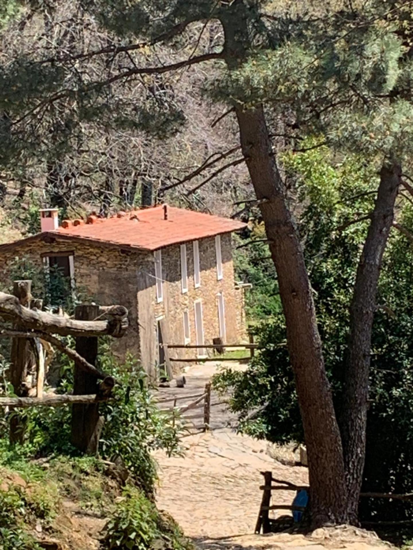 Monte Brugiana Centro trekking a cavallo