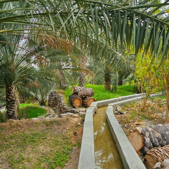 Jawharat Misfat Alabriyyn