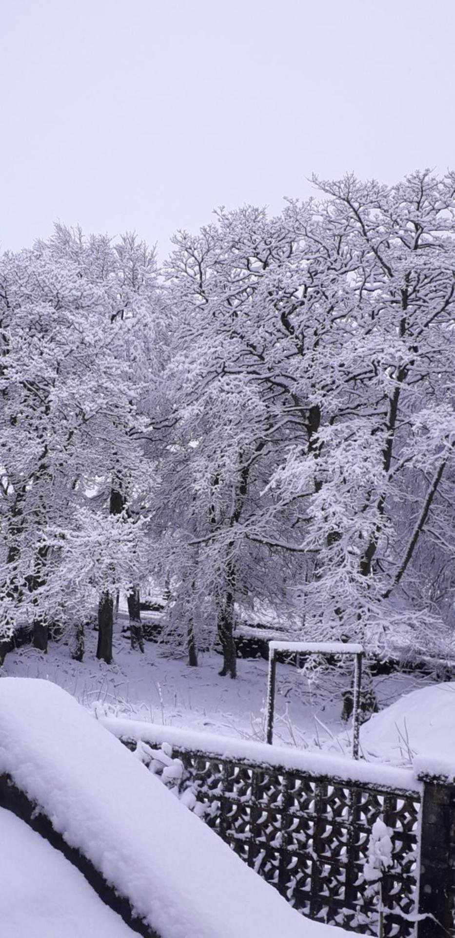 Hedgehog's Hideaway,a peaceful retreat in Nenthead
