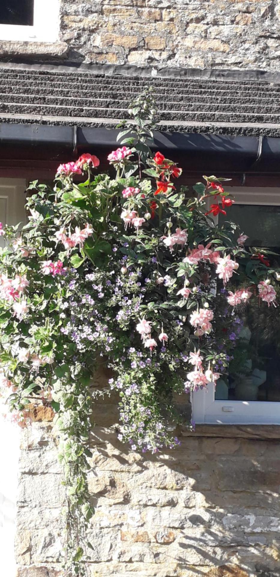 Hedgehog's Hideaway,a peaceful retreat in Nenthead