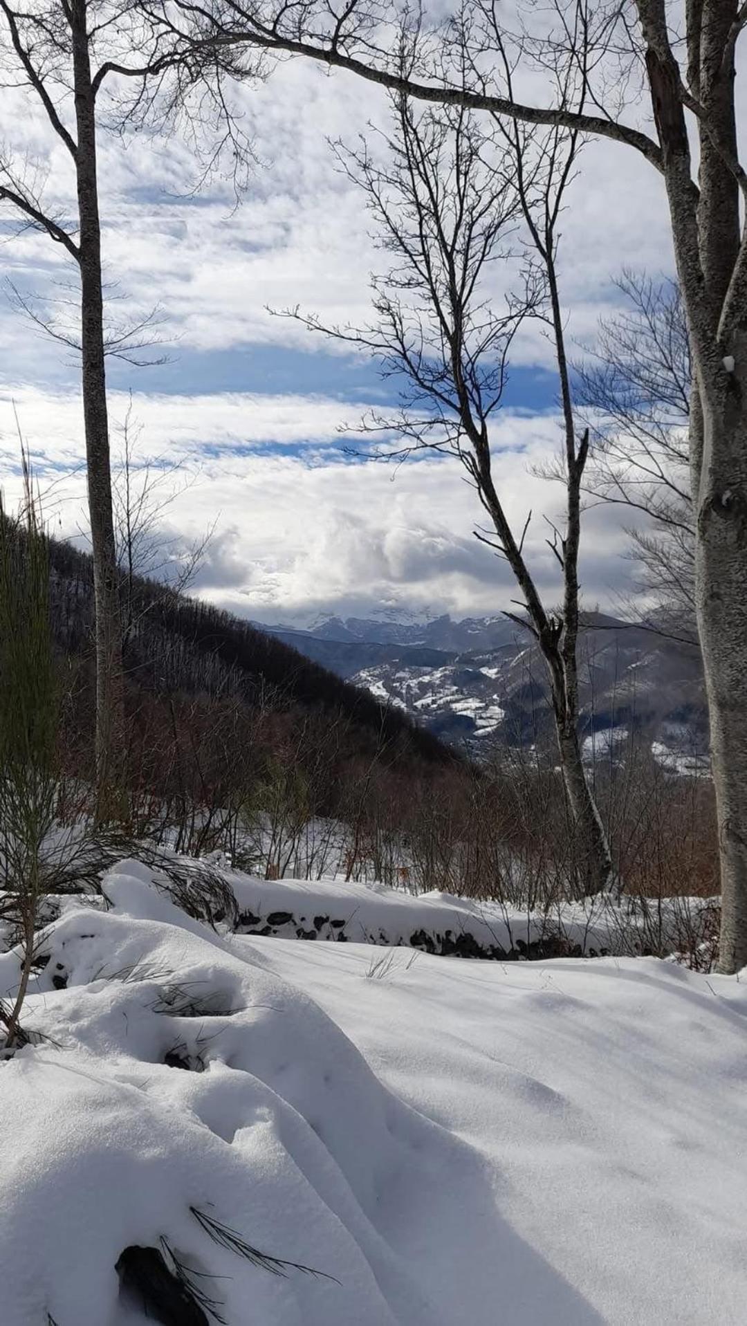 Bel appartement T2 refait à neuf avec piscine couverte de juin à fin septembre