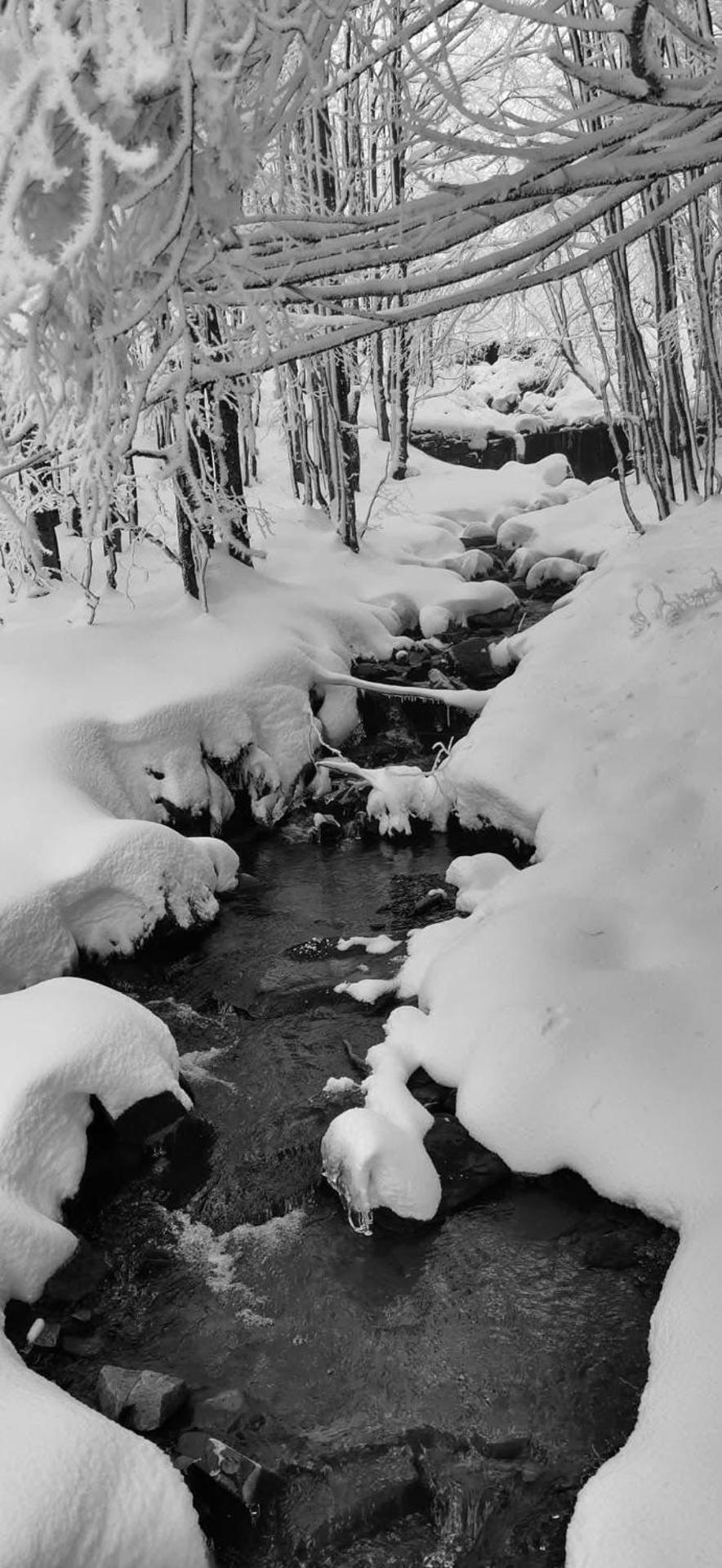 Bel appartement T2 refait à neuf avec piscine couverte de juin à fin septembre
