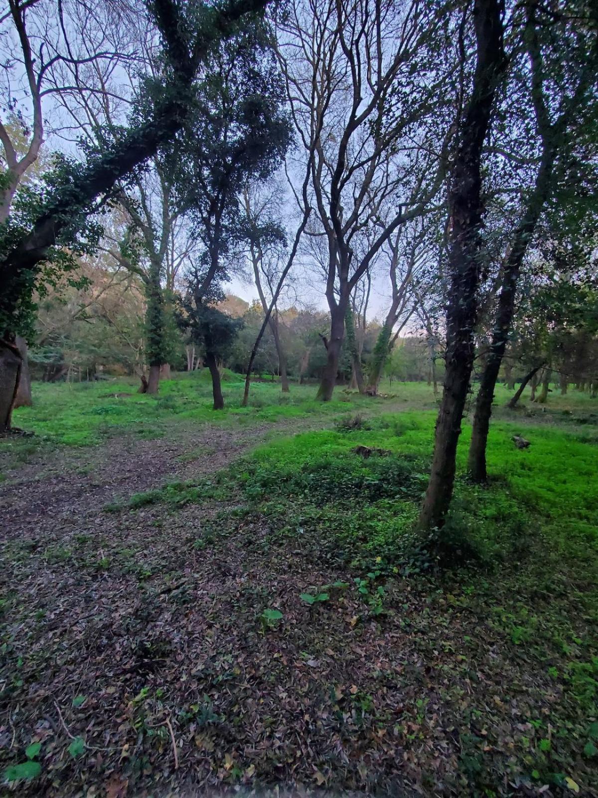 La bonne adresse de Provence