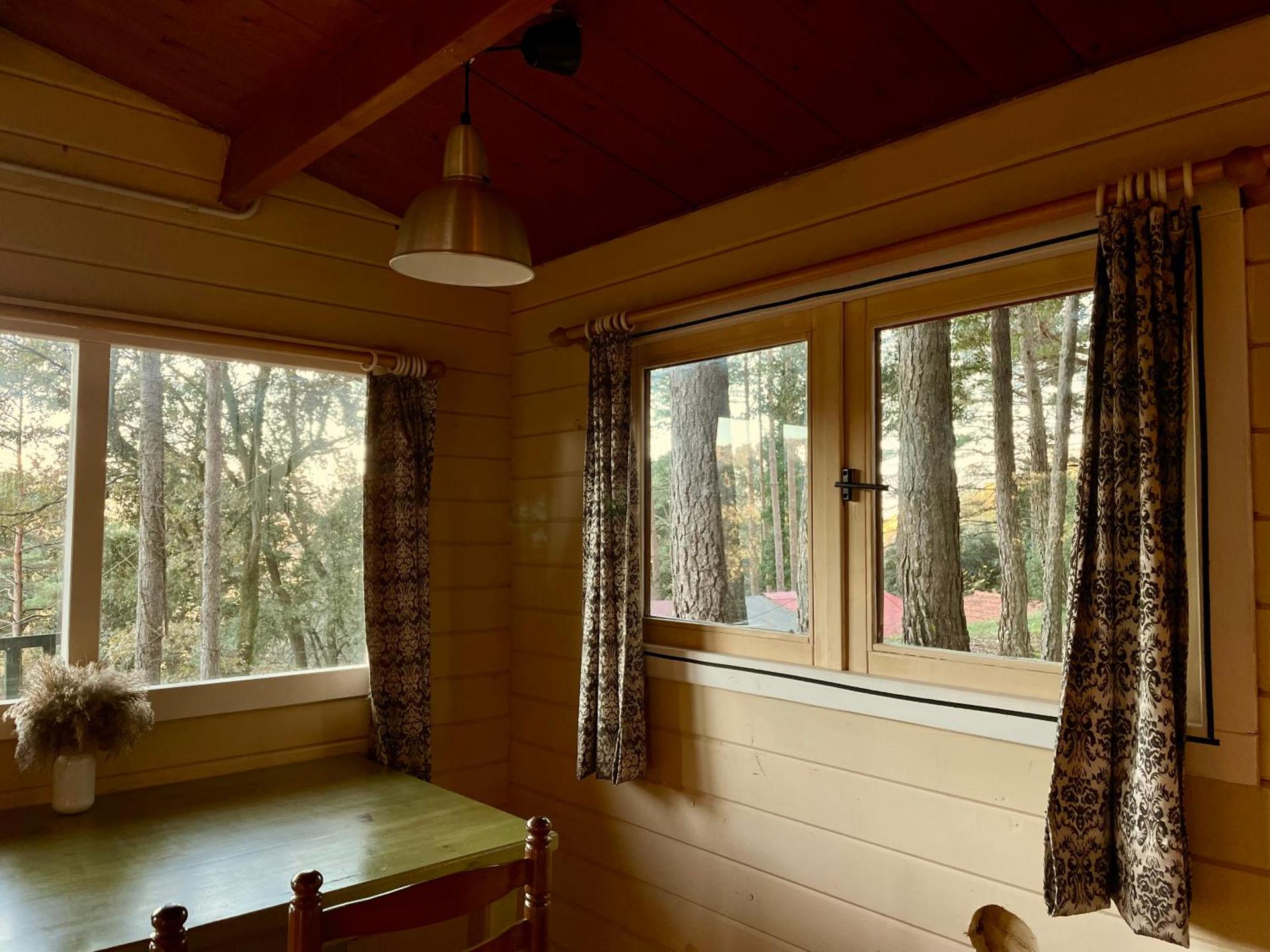 Cabañita de madera en Mas Coguleras