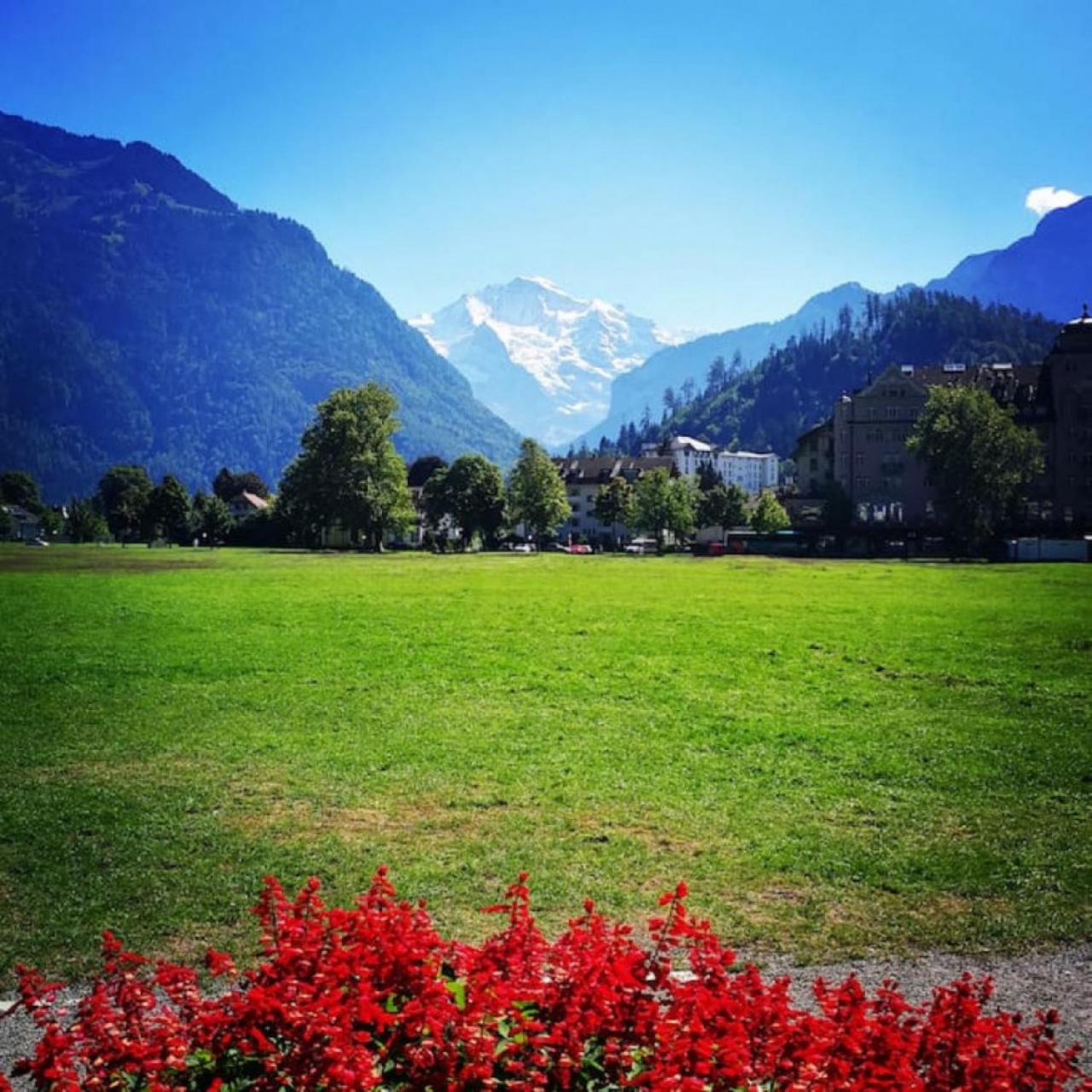 SwissHut Stunning Views Alps Lake - Apart. Erli Up