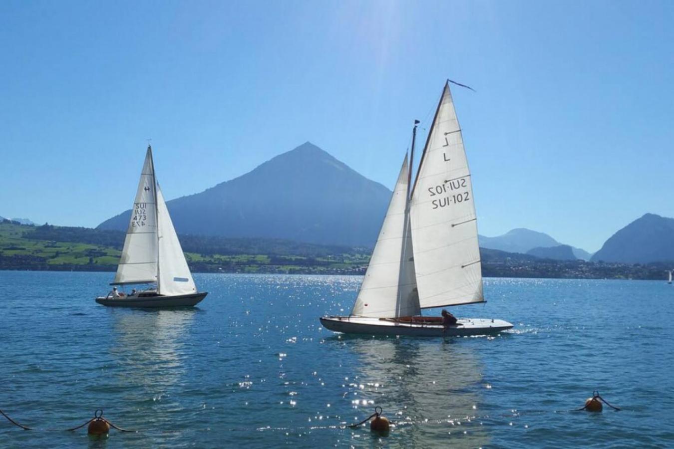 SwissHut Stunning Views Alps Lake - Apart. Erli Up