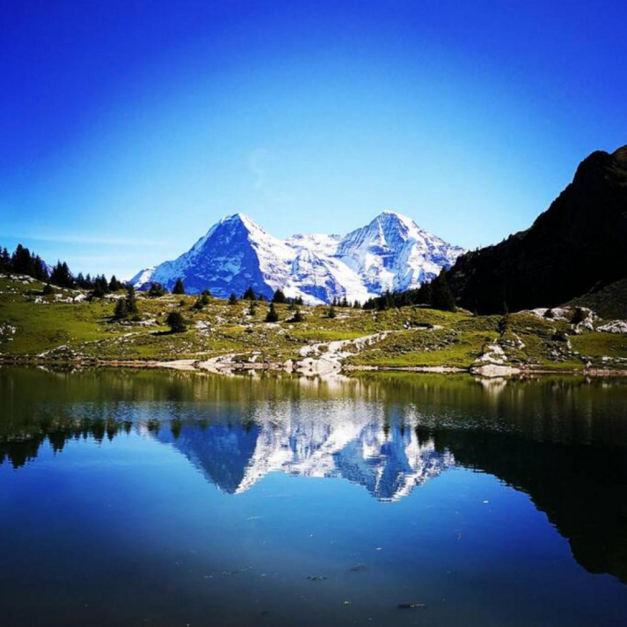 SwissHut Stunning Views Alps Lake - Apart. Erli Up