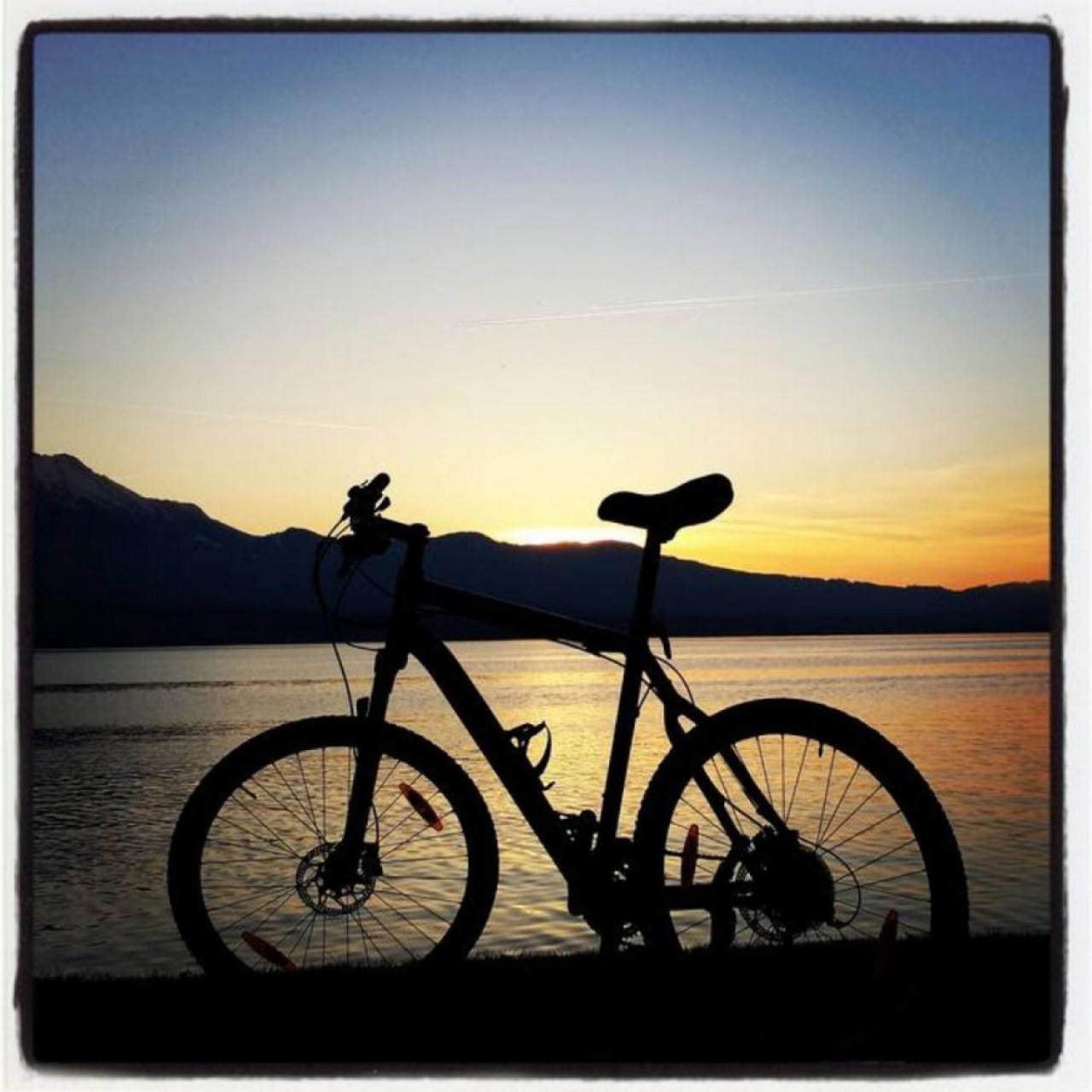 SwissHut Stunning Views Alps Lake - Apart. Erli Up