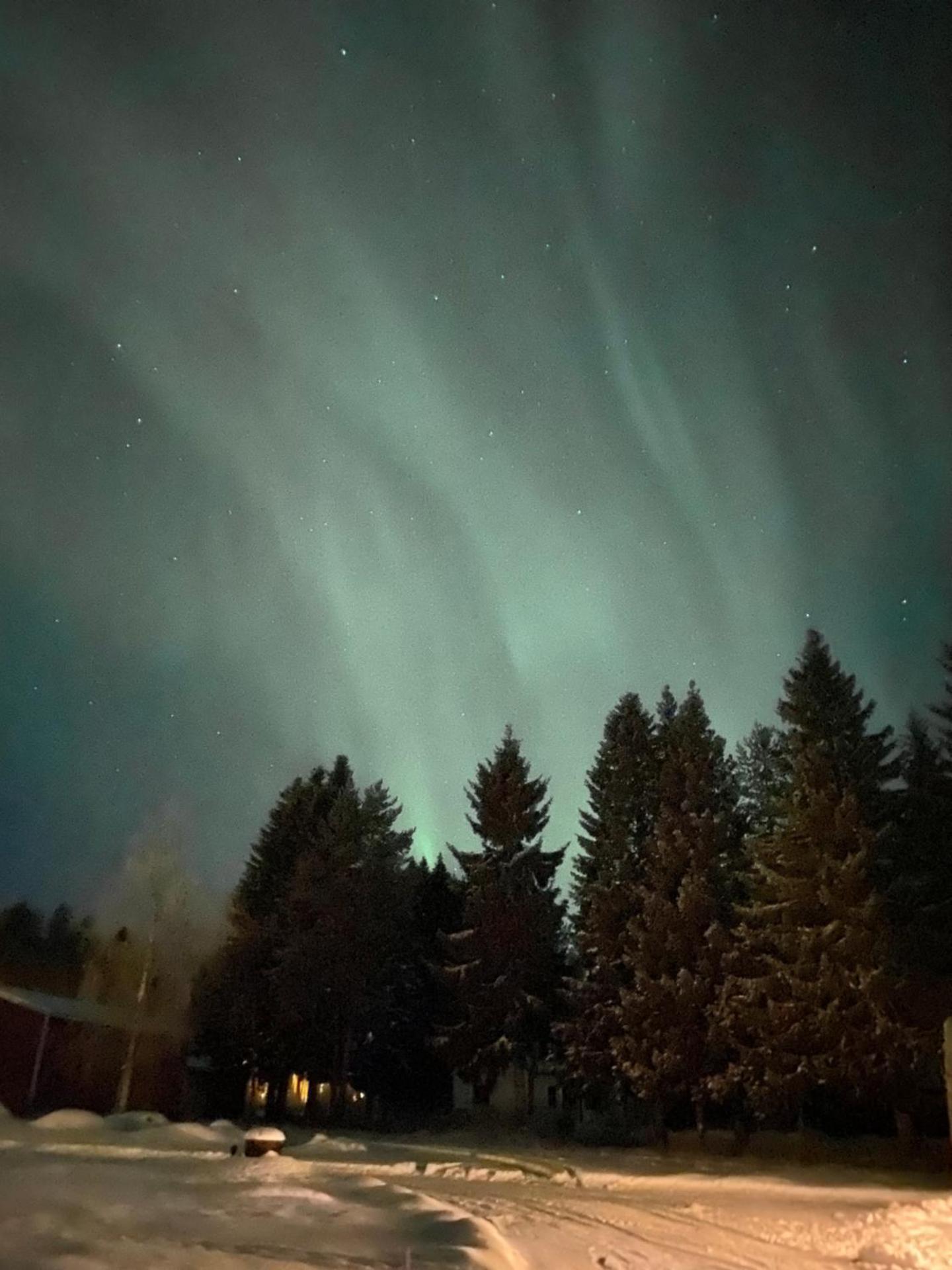 Row house in Meltosjärvi