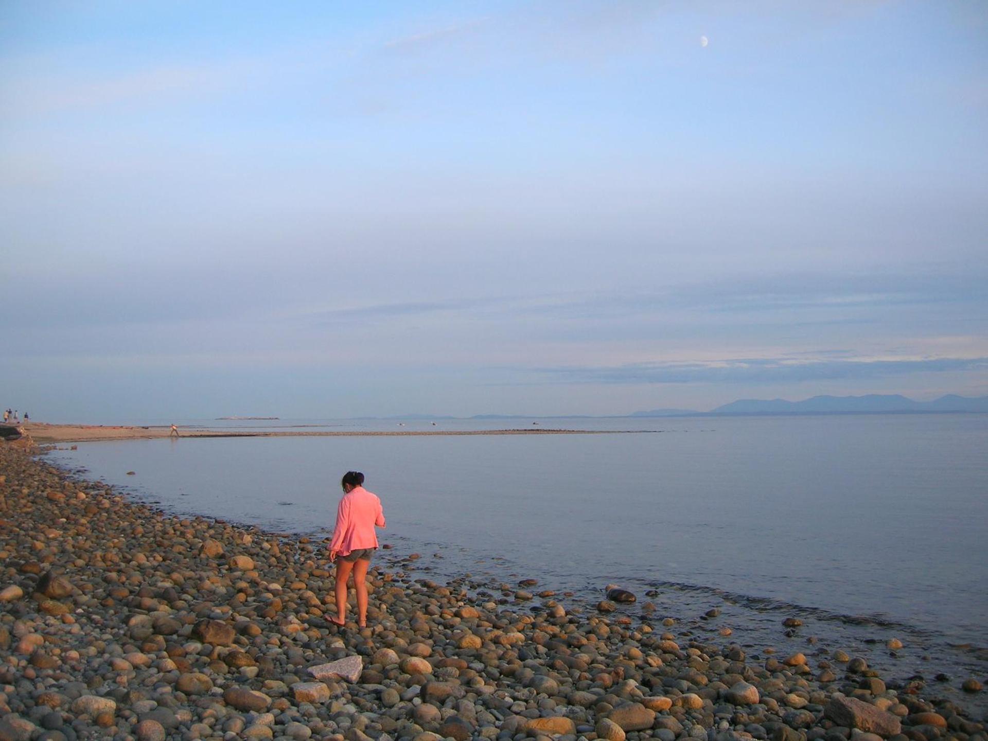 Davis Bay Bed & Breakfast