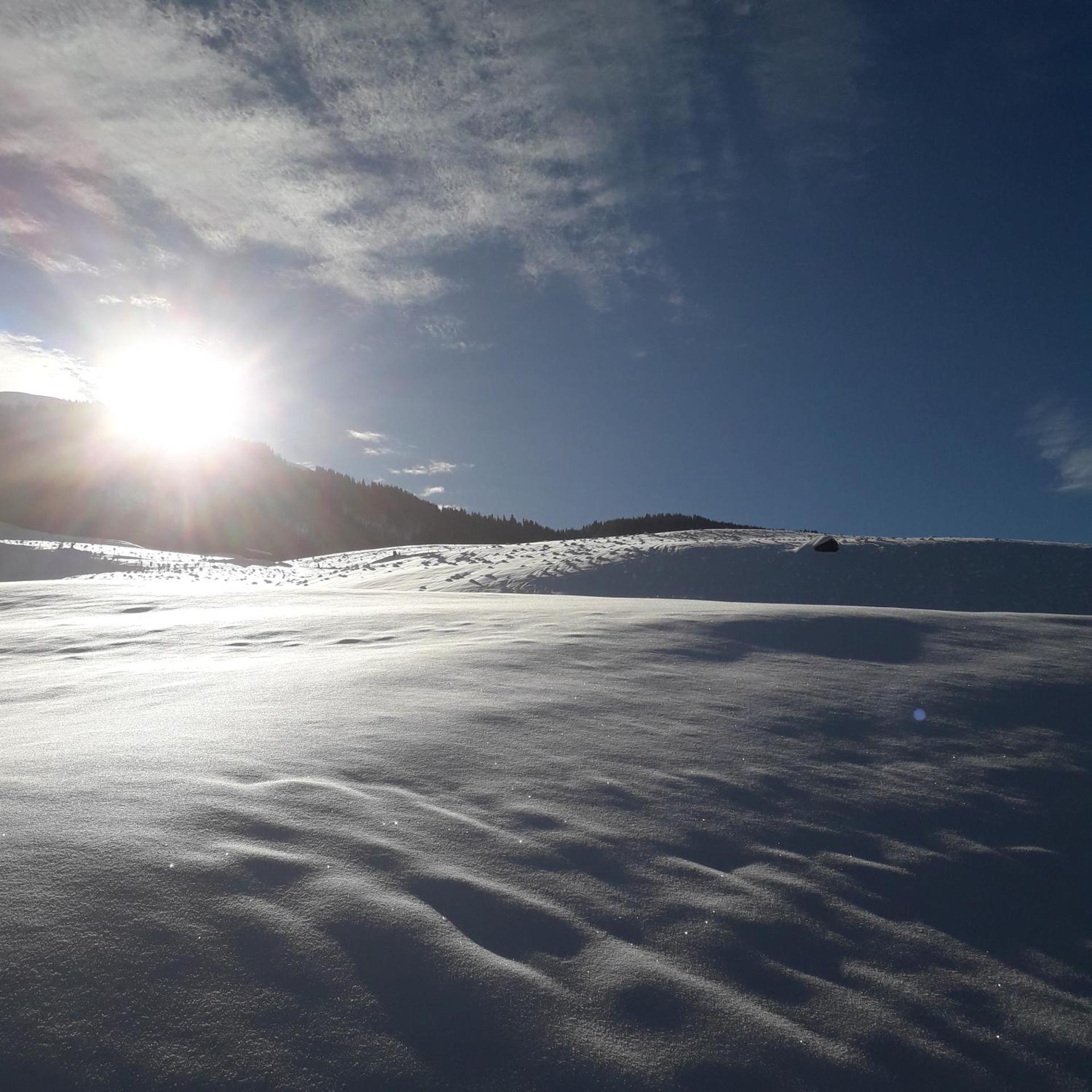 Ferienhaus Hochwimmer