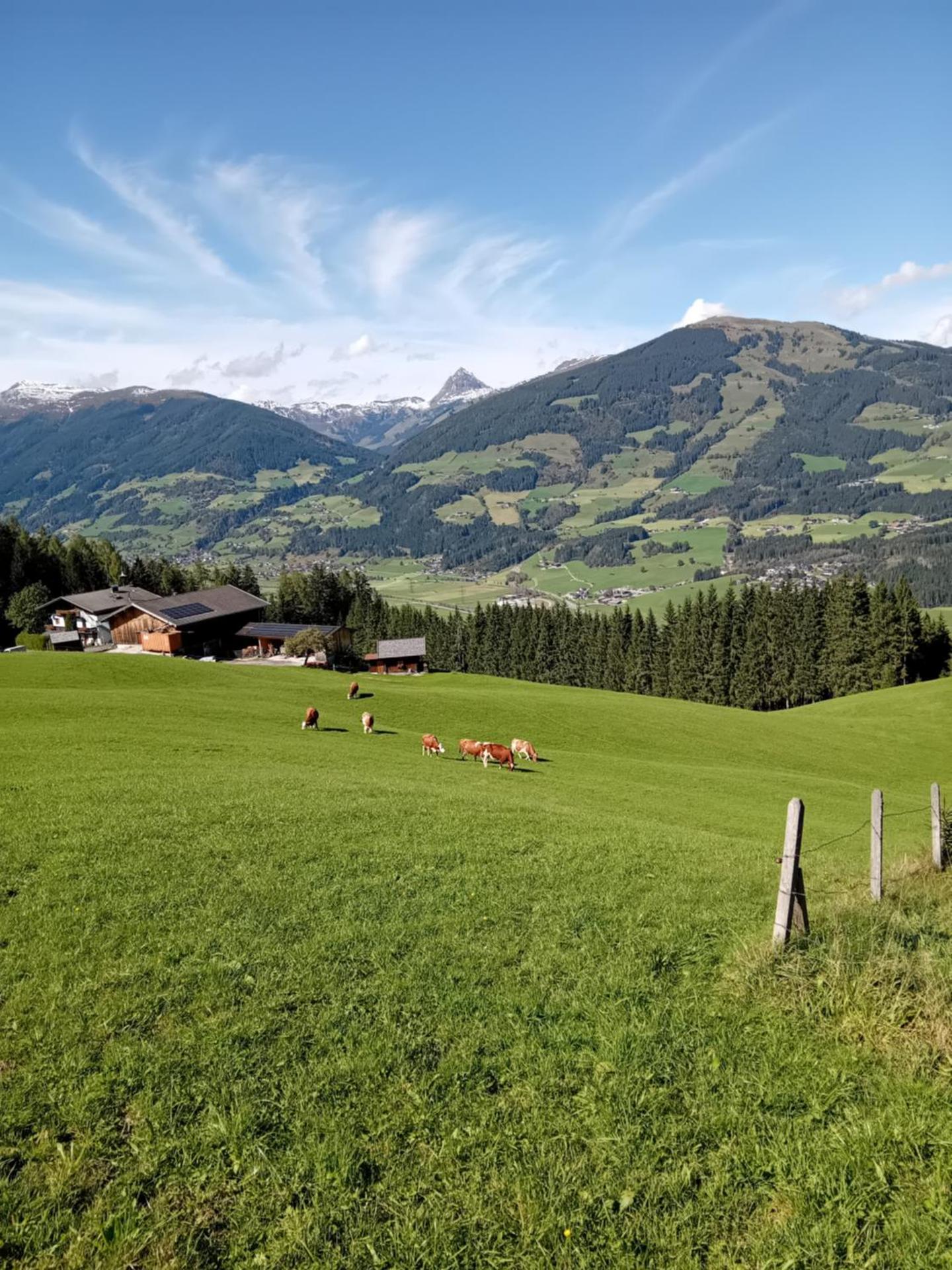 Ferienhaus Hochwimmer