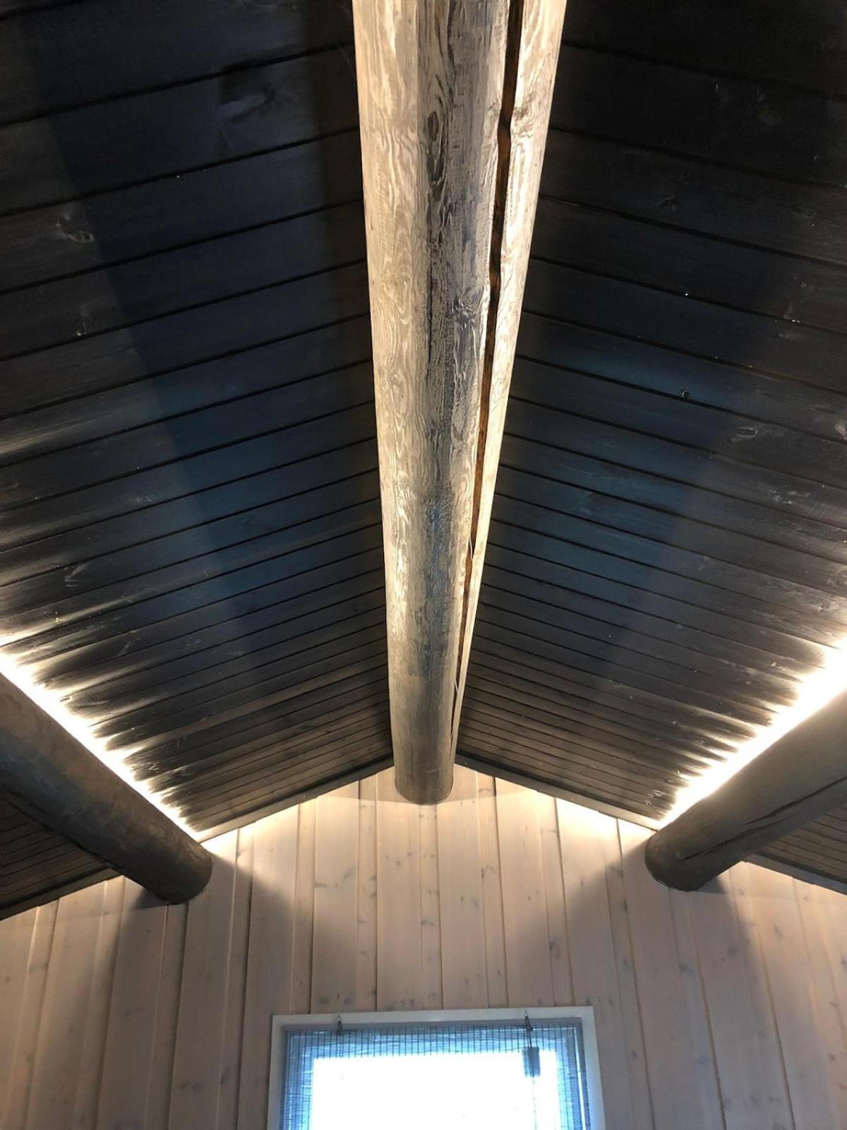 Cozy cabin 1,5 hours from Oslo