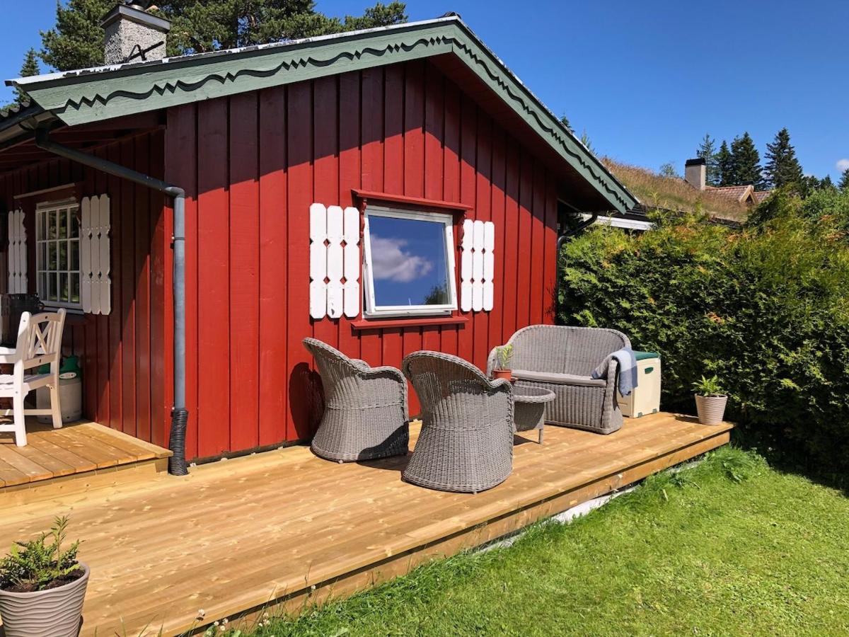 Cozy cabin 1,5 hours from Oslo