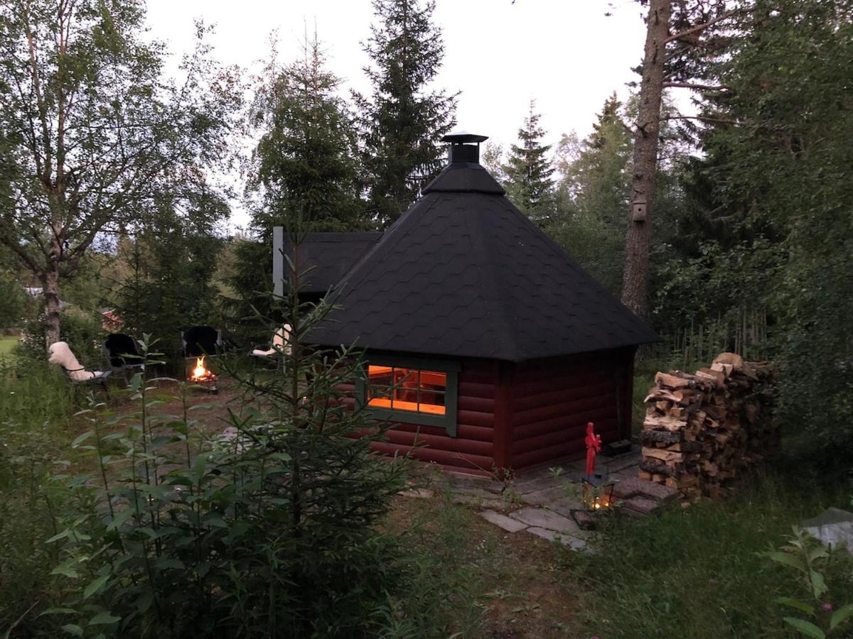 Cozy cabin 1,5 hours from Oslo