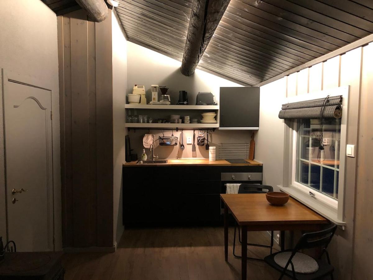 Cozy cabin 1,5 hours from Oslo