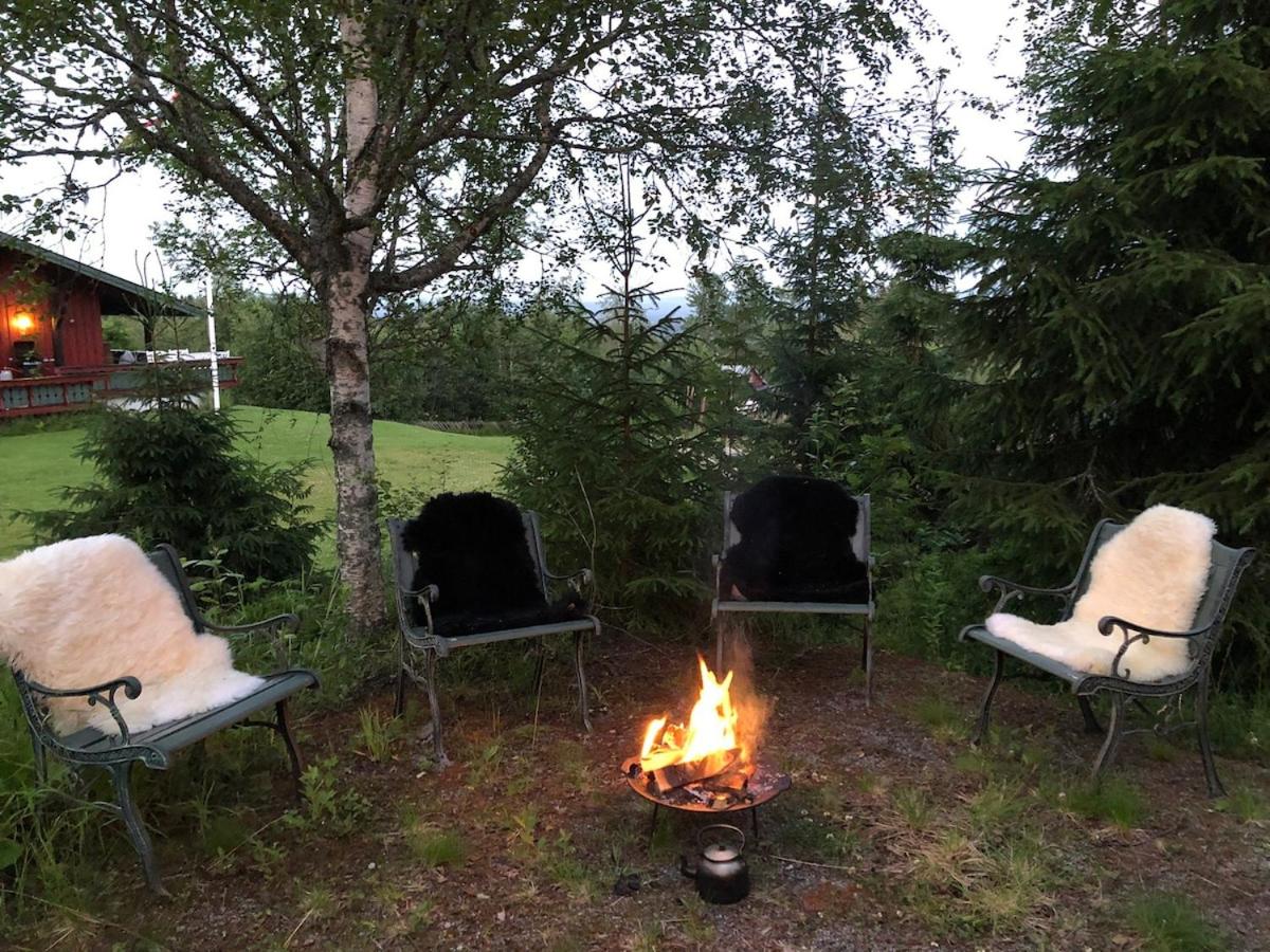 Cozy cabin 1,5 hours from Oslo